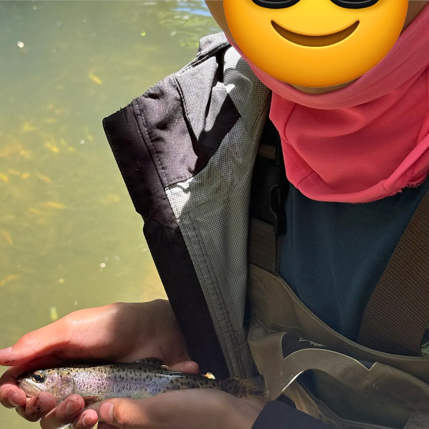 The most recent Coastal rainbow trout catches on Fishbrain