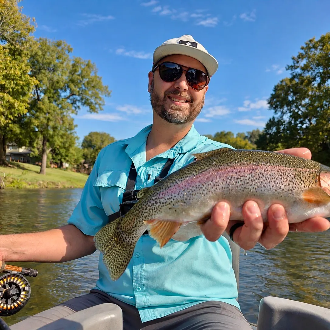 Rainbow trout caught on Fishbrain