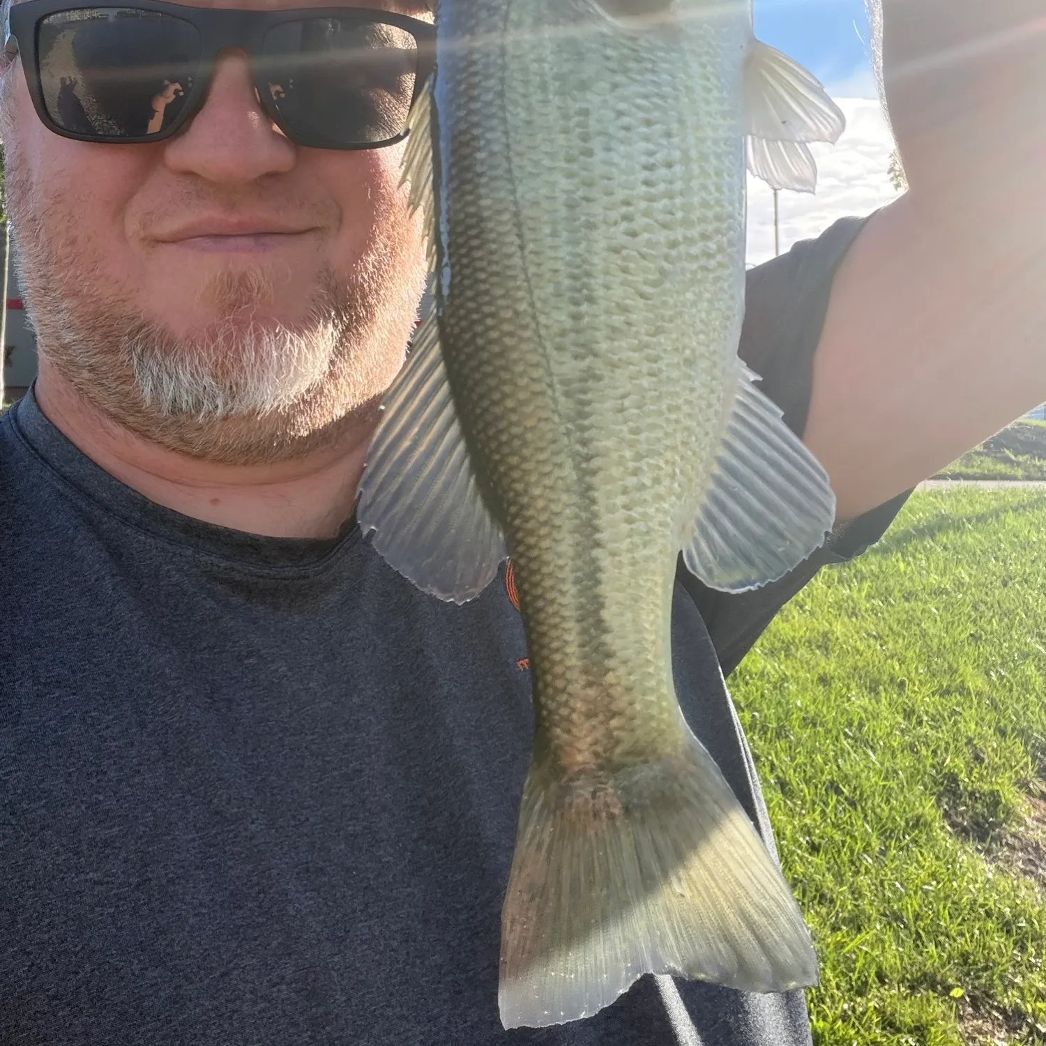 Largemouth bass caught on Fishbrain