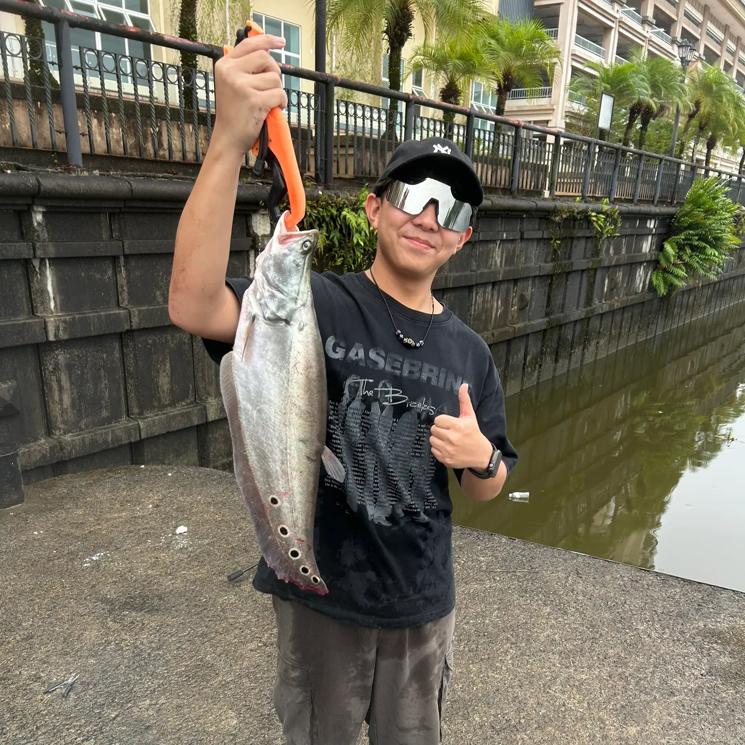 Clown knifefish caught on Fishbrain
