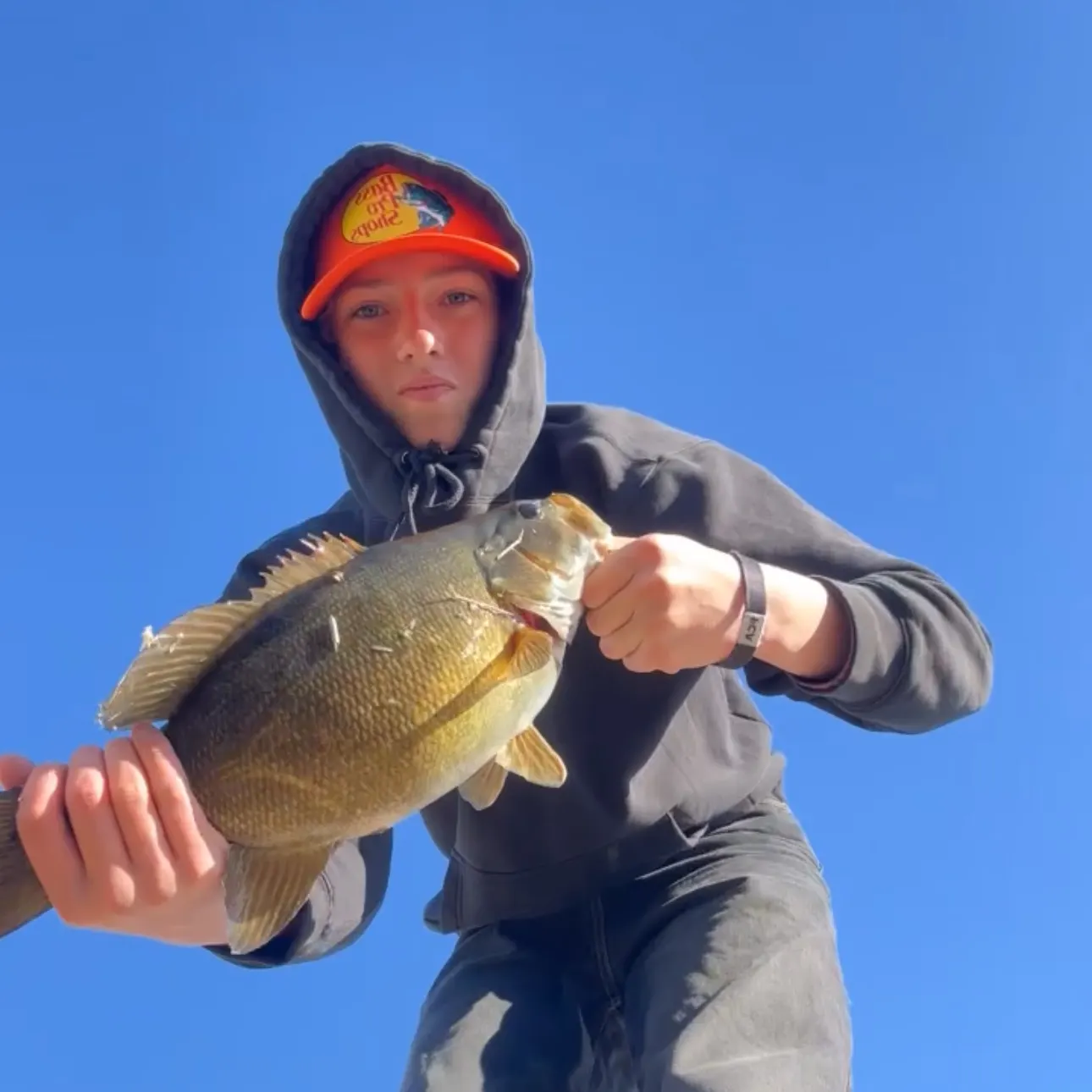 Smallmouth bass caught on Fishbrain