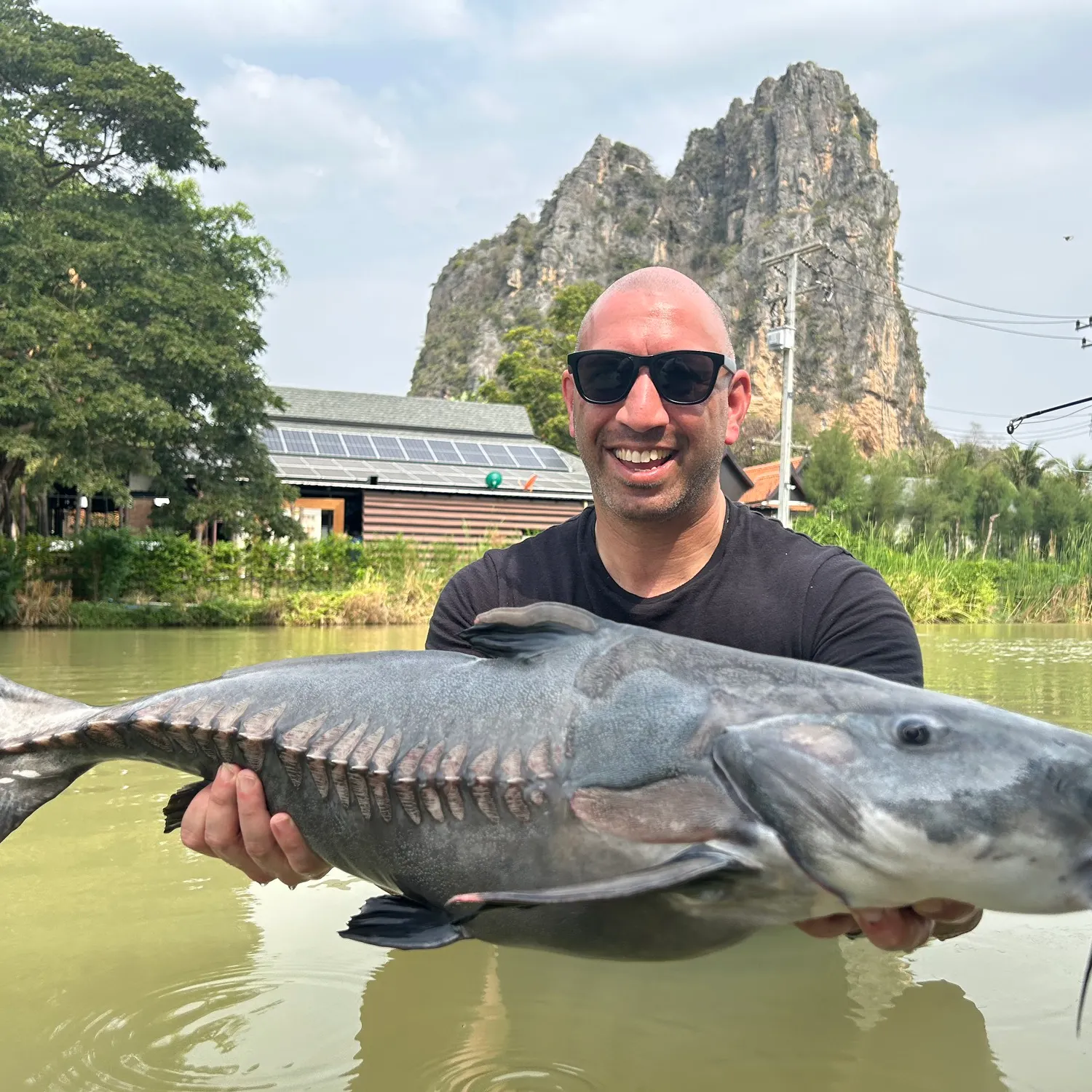 The most recent Ripsaw catfish catches on Fishbrain