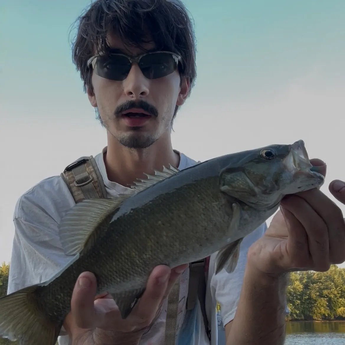 Smallmouth bass caught on Fishbrain