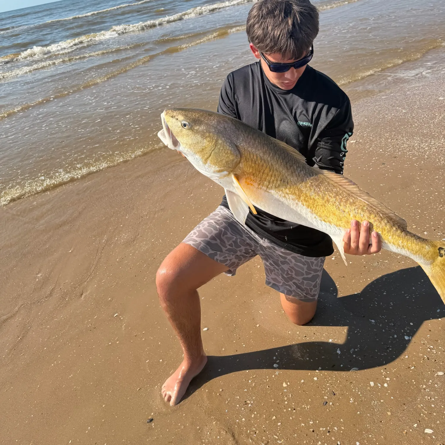 Red drum caught on Fishbrain