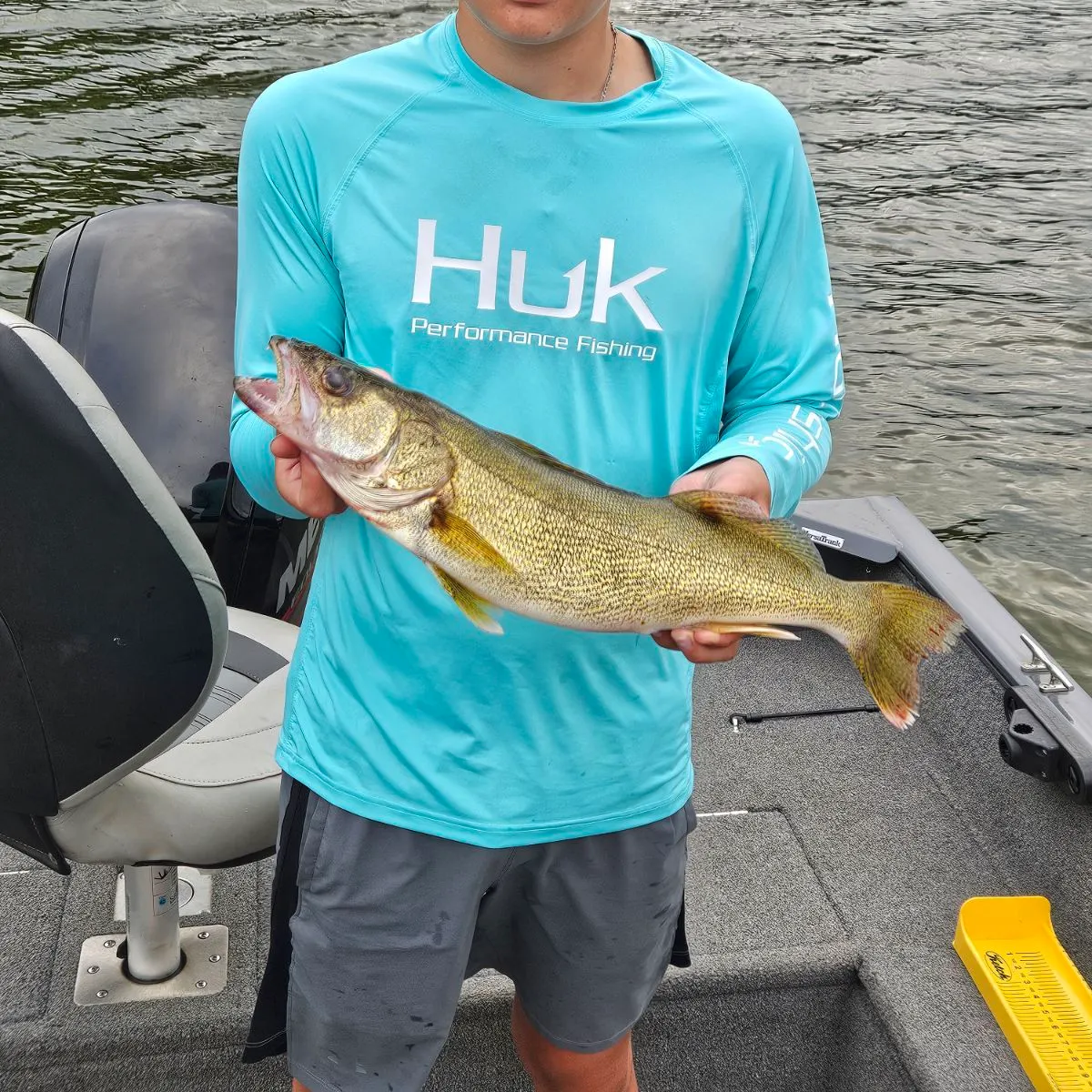 The most recent Walleye catches on Fishbrain