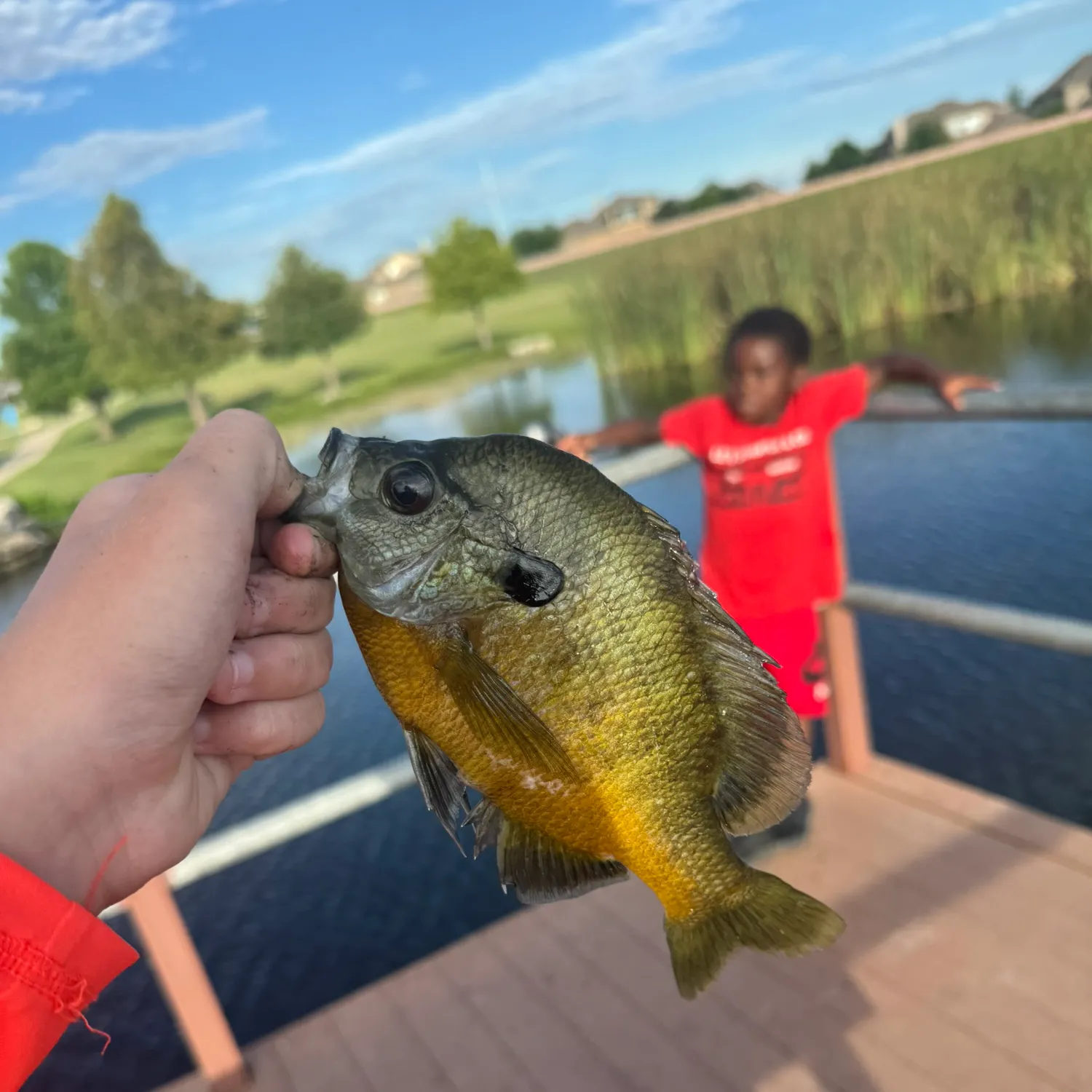 catch