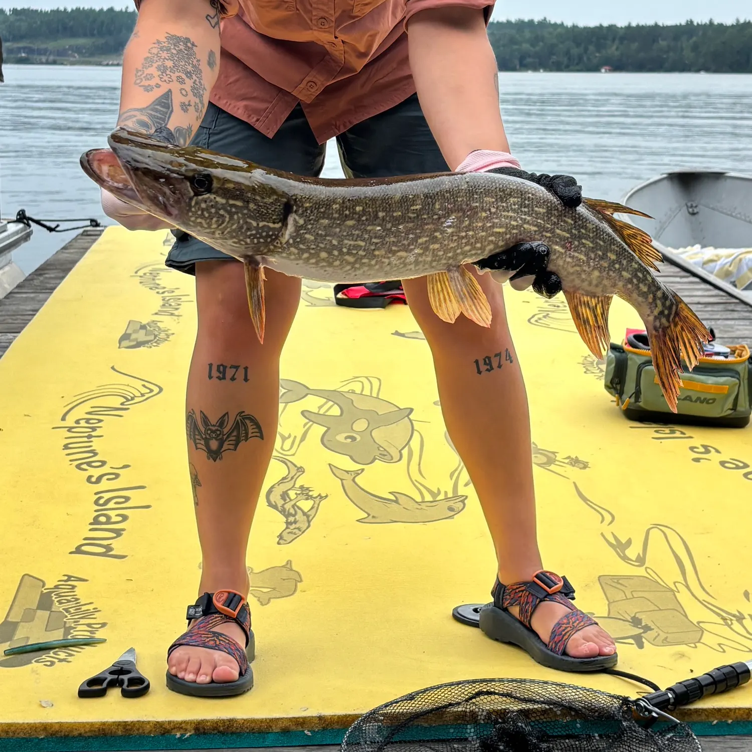 recently logged catches