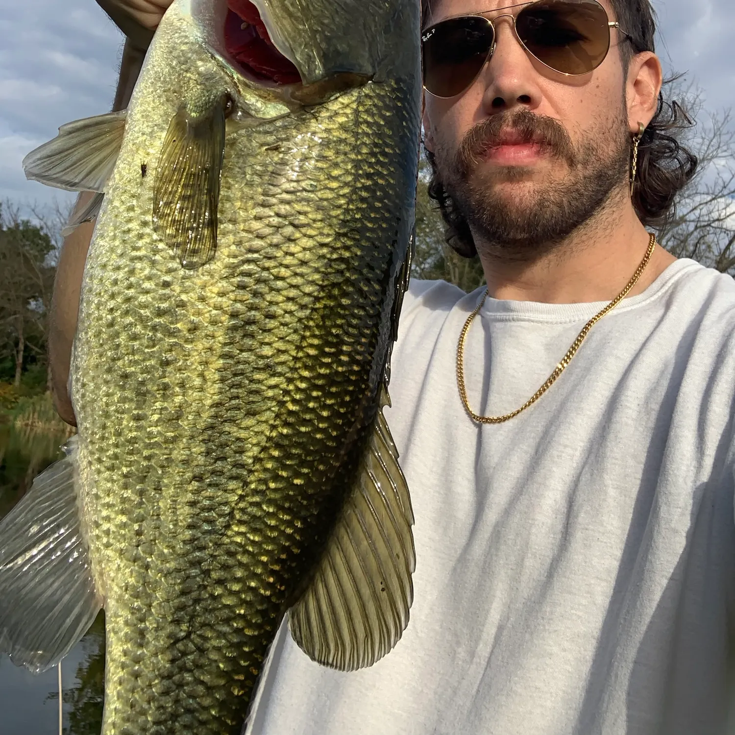 Largemouth bass caught on Fishbrain