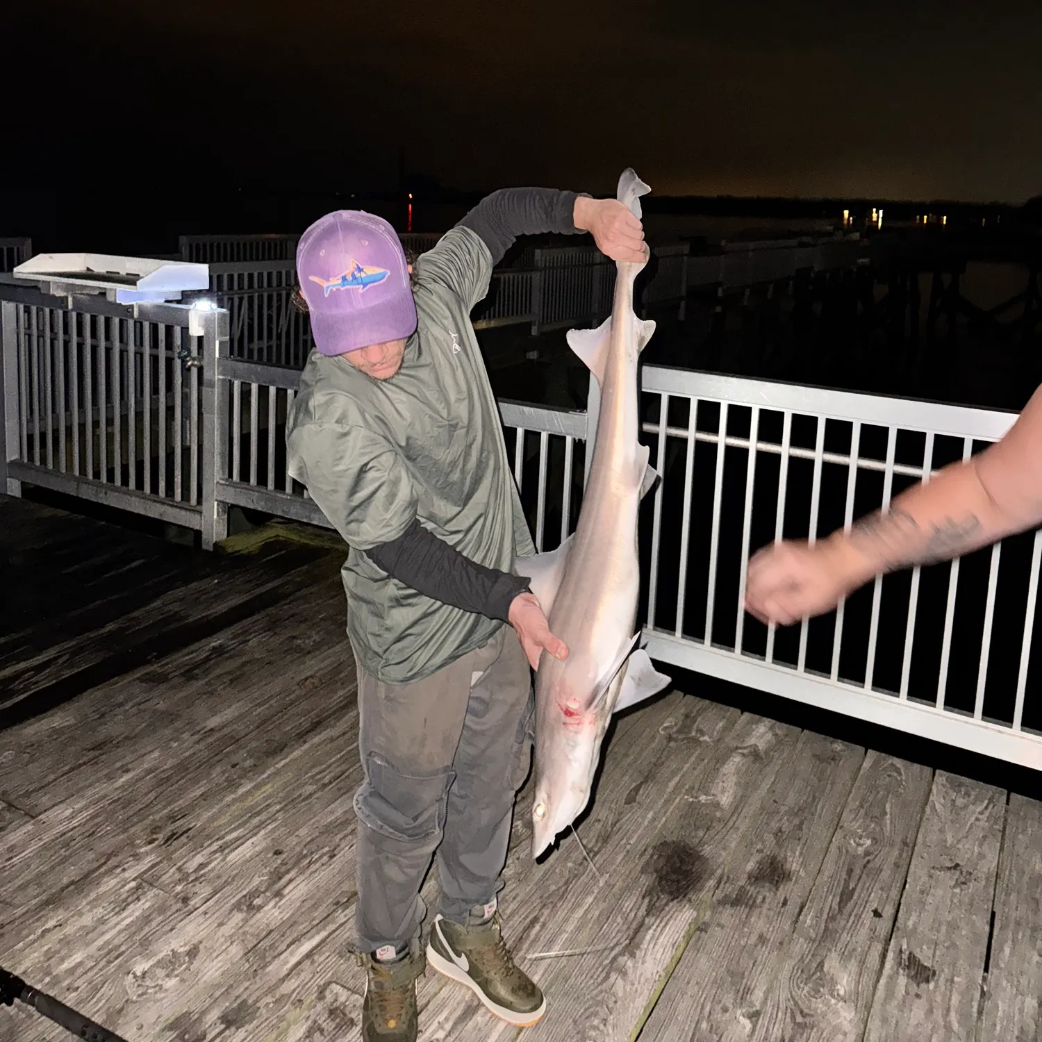 Dusky smooth-hound caught on Fishbrain