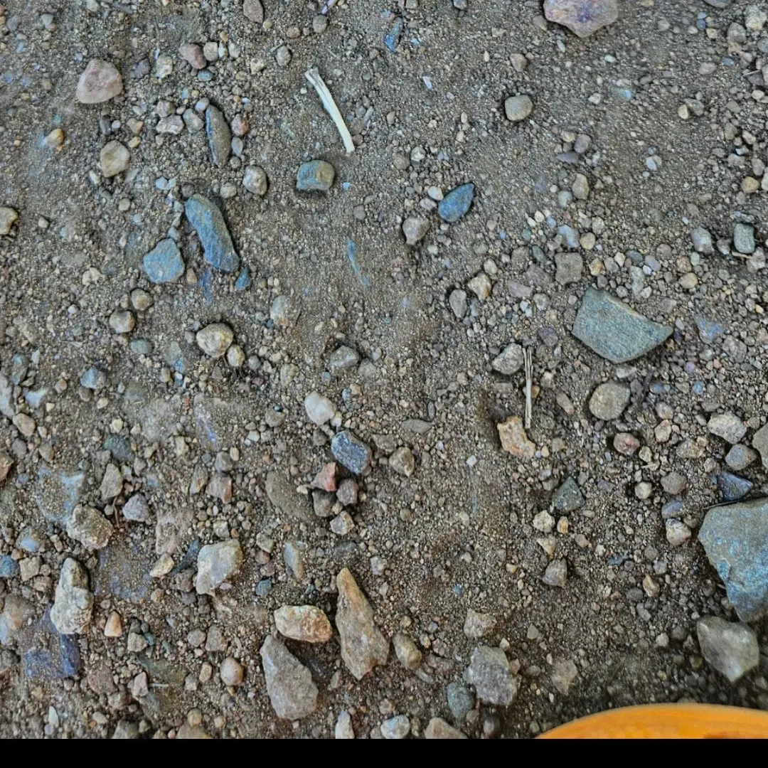 The most recent Virile crayfish catches on Fishbrain