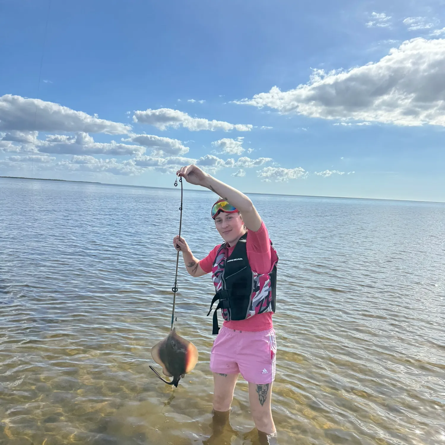 The most recent Atlantic stingray catches on Fishbrain