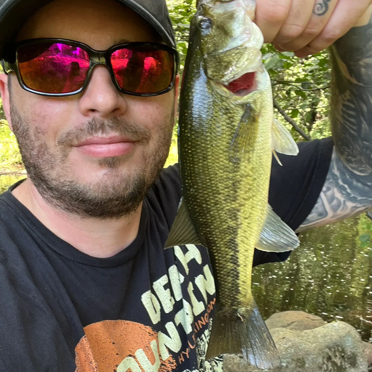 Largemouth bass caught on Fishbrain
