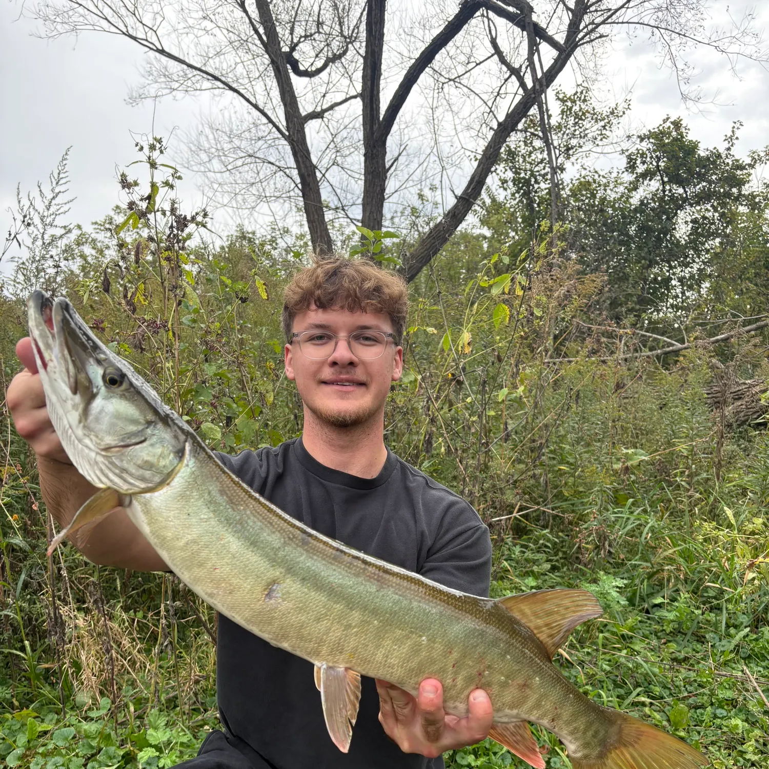 Muskie caught on Fishbrain