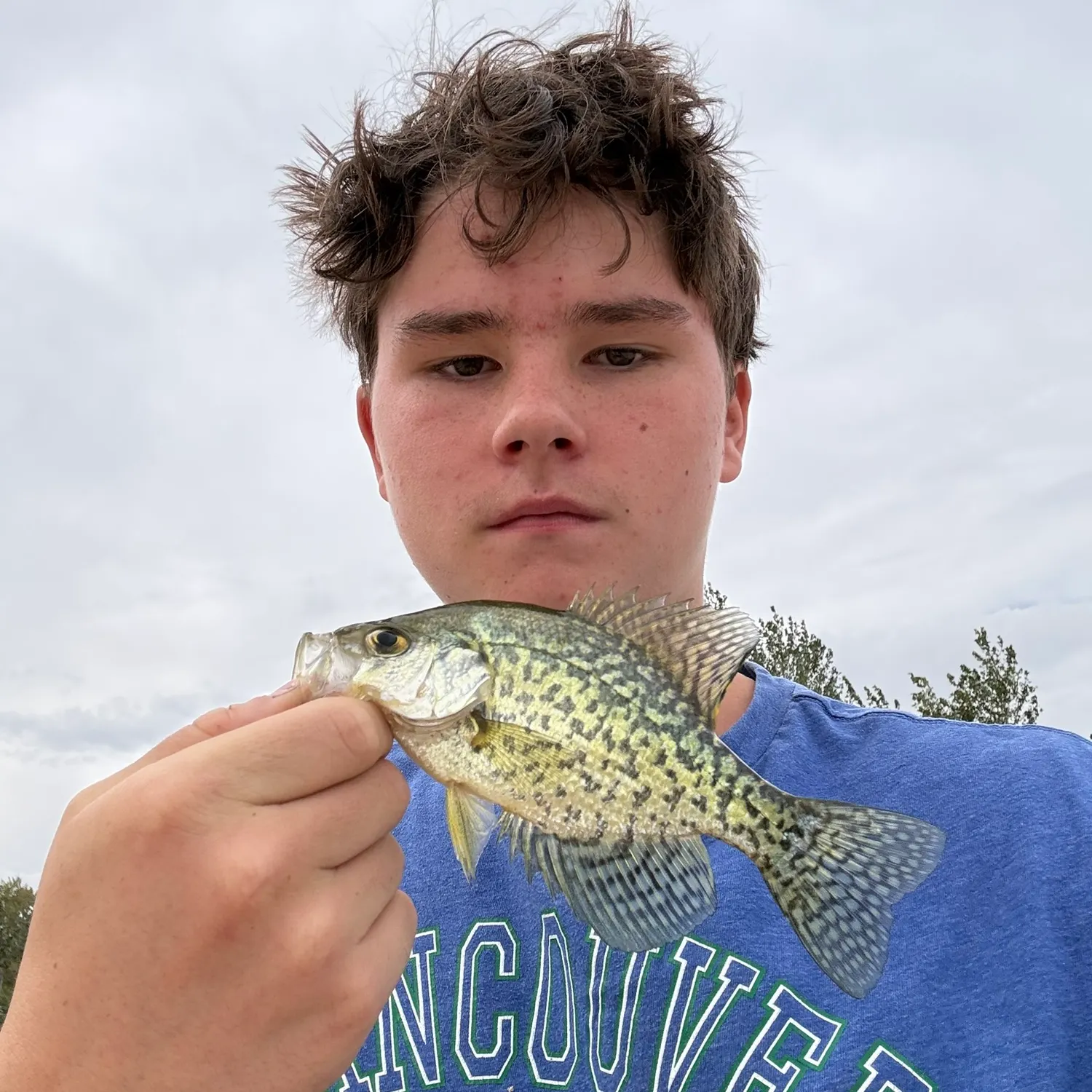 Black crappie caught on Fishbrain