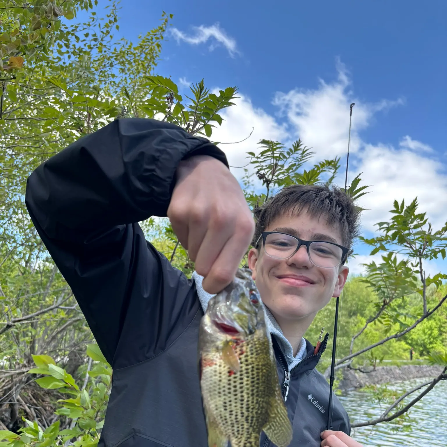 The most recent Blue rockfish catches on Fishbrain