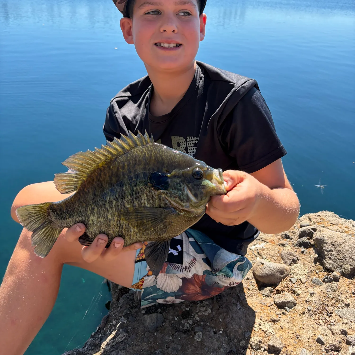 Bluegill caught on Fishbrain