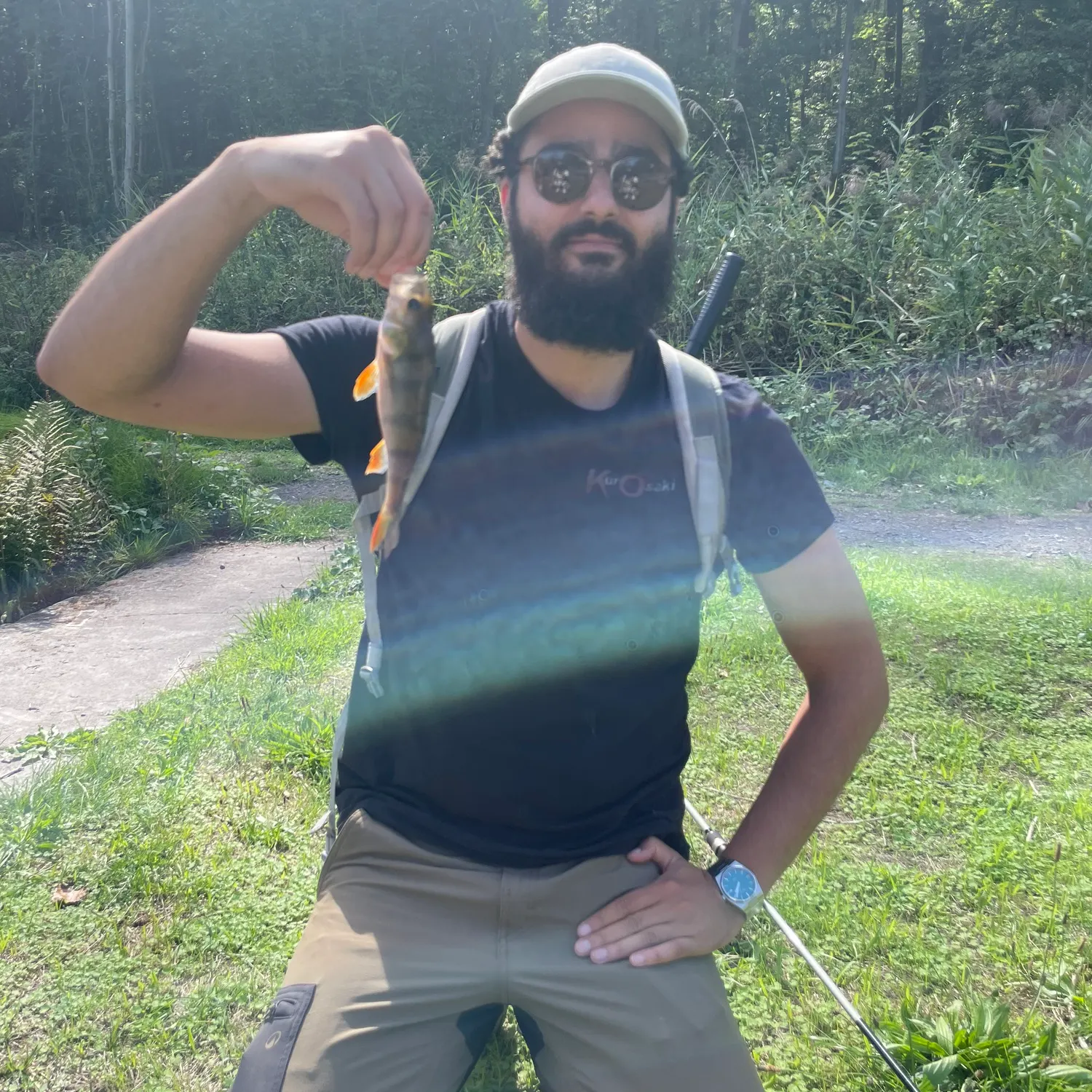 European perch caught on Fishbrain