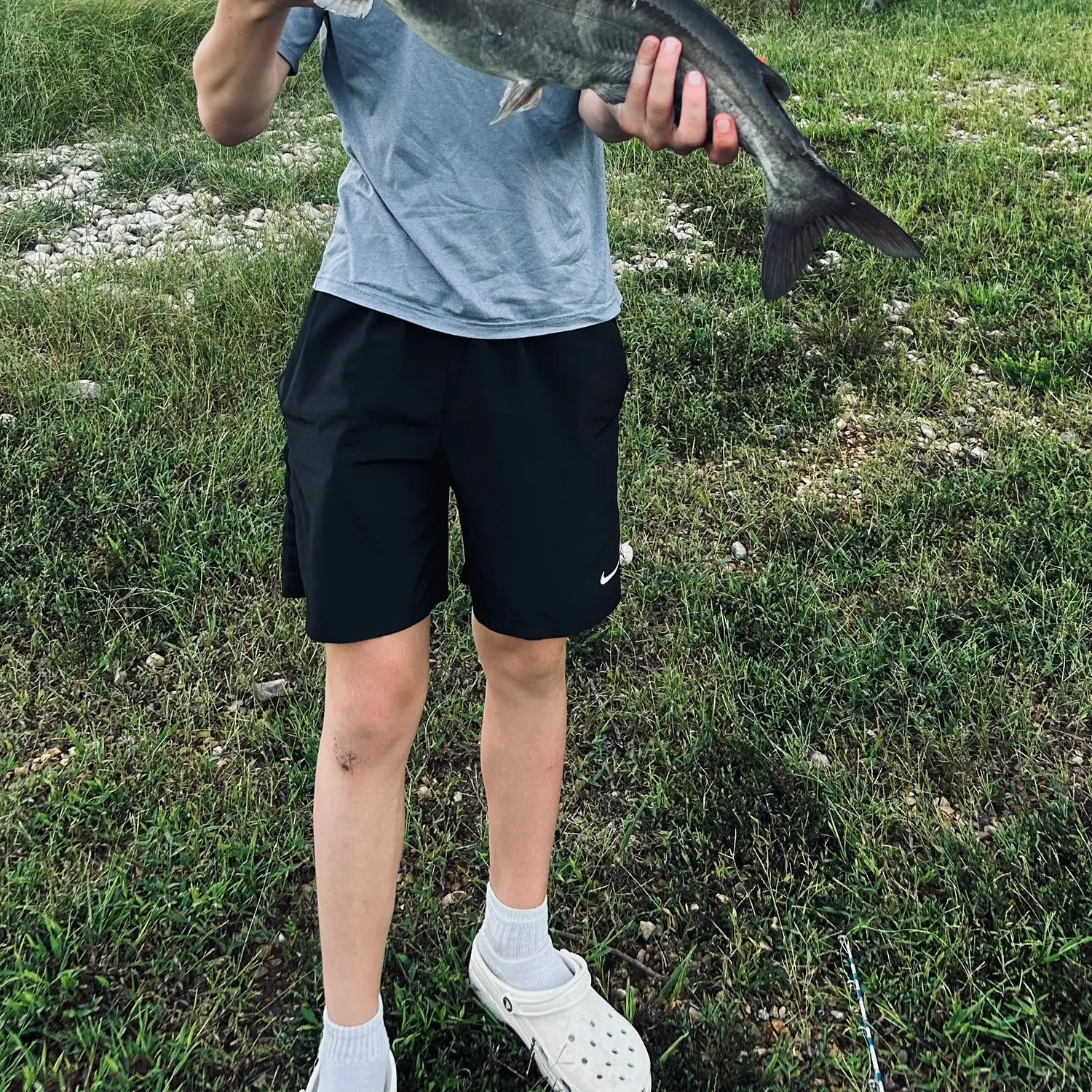 Blue catfish caught on Fishbrain