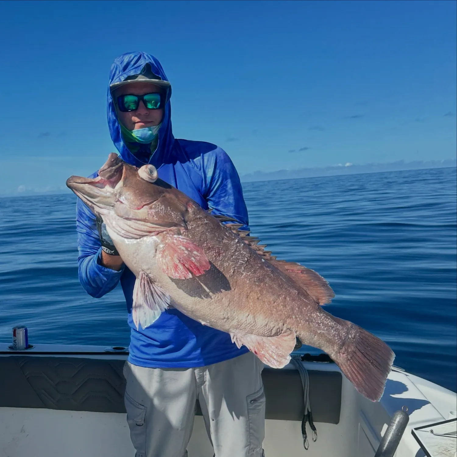 The most recent Snowy grouper catches on Fishbrain