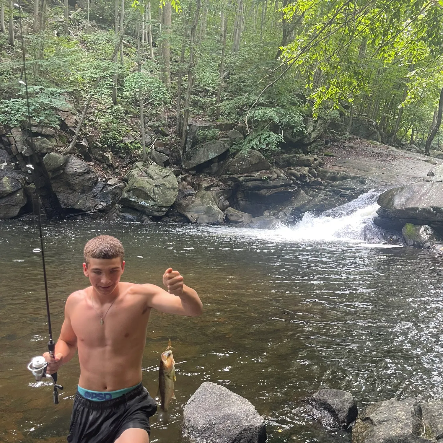 Spotted bass caught on Fishbrain
