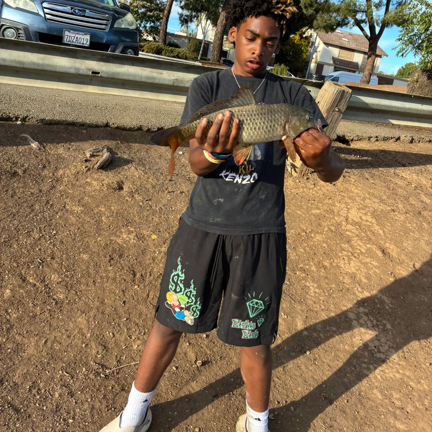 Common carp caught on Fishbrain
