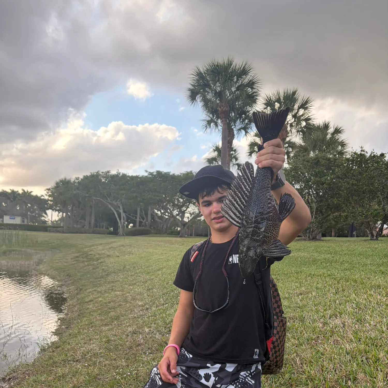 The most recent Suckermouth catfish catches on Fishbrain