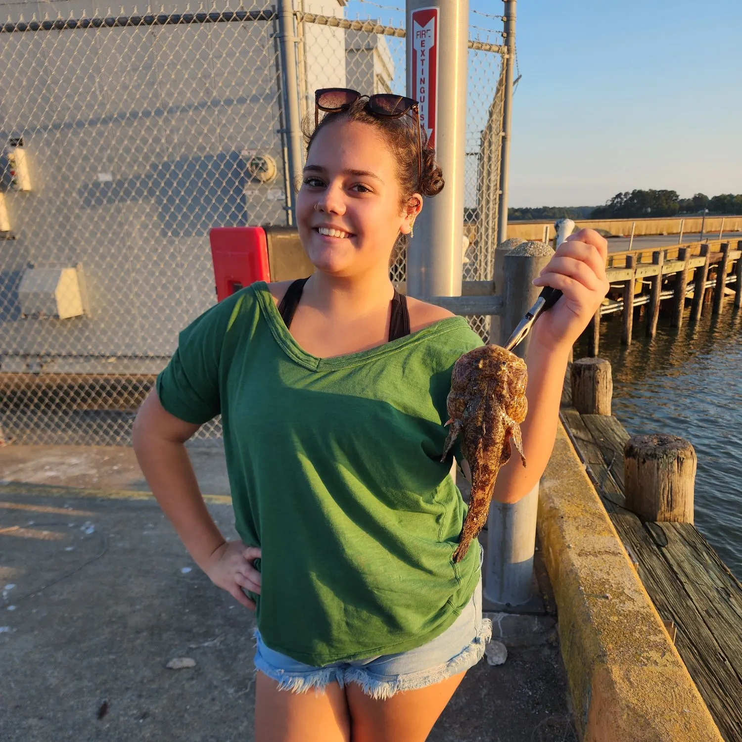 Oyster toadfish caught on Fishbrain