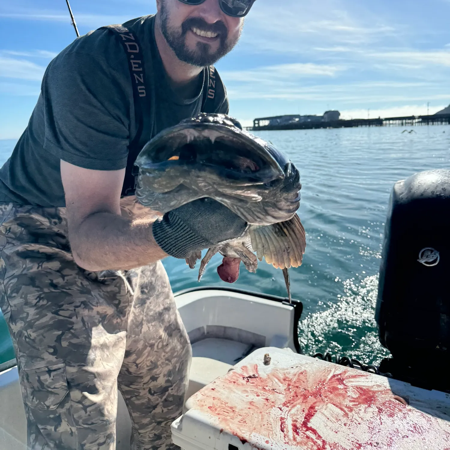 The most recent Lingcod catches on Fishbrain