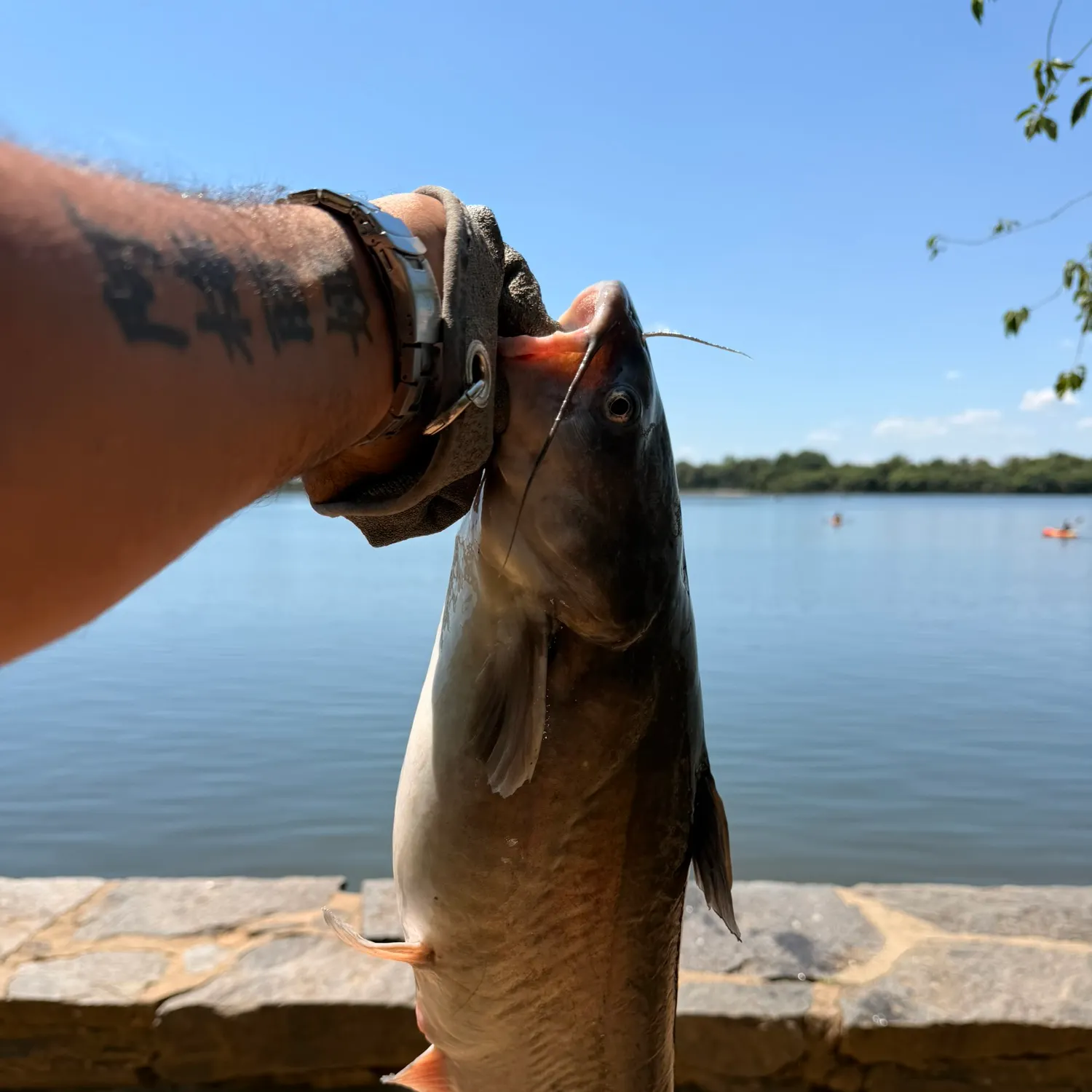 catch
