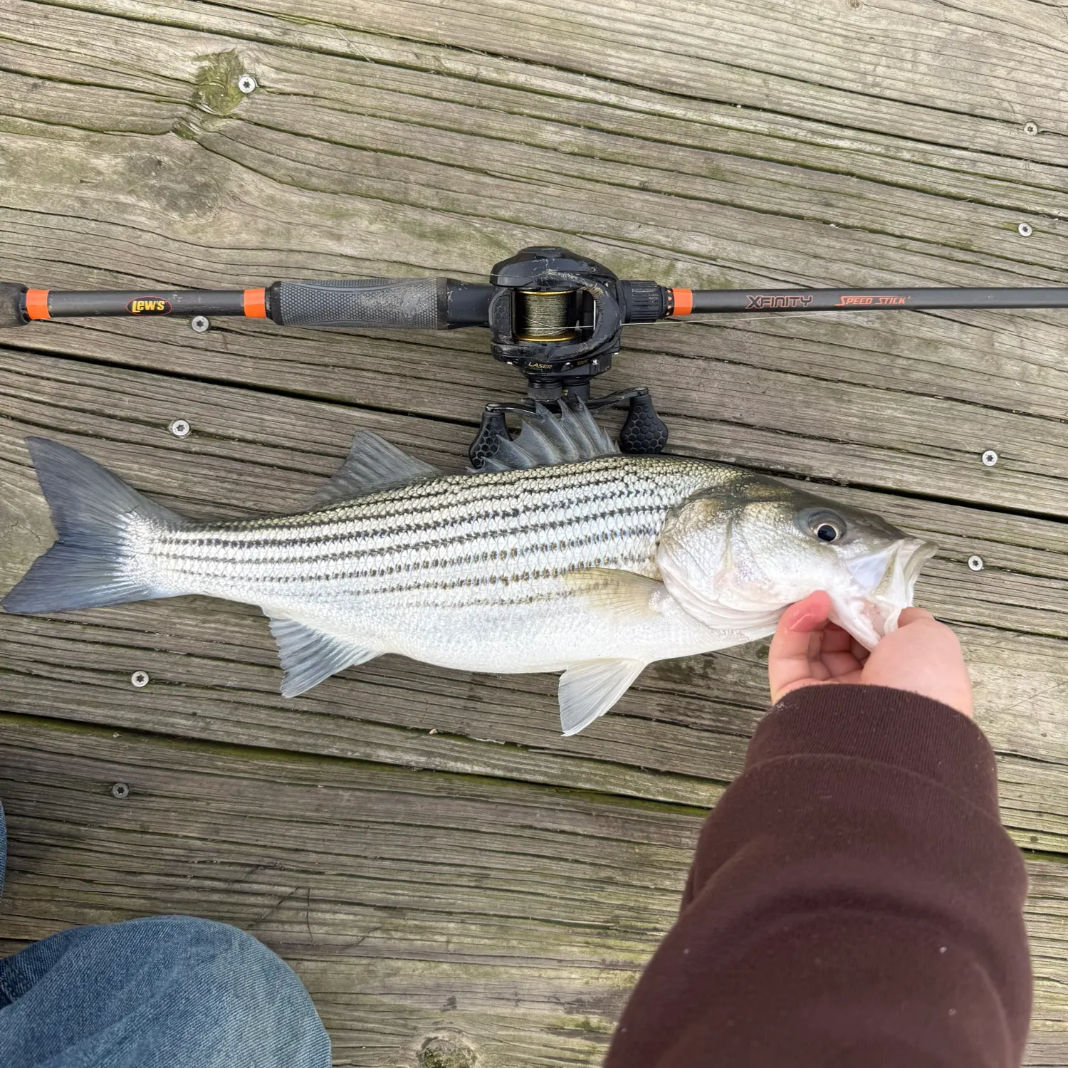 recently logged catches