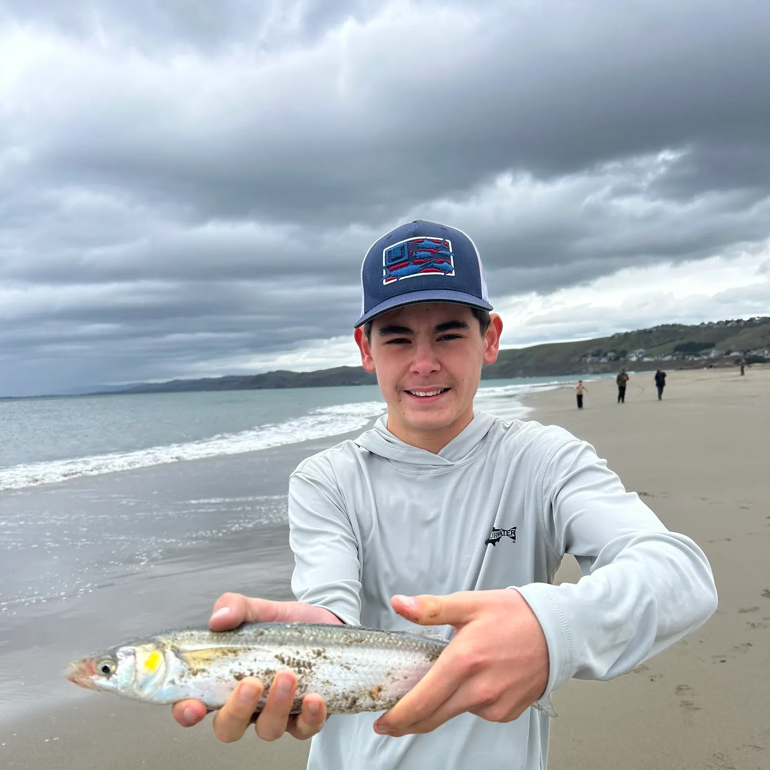 The most recent Jack silverside catches on Fishbrain