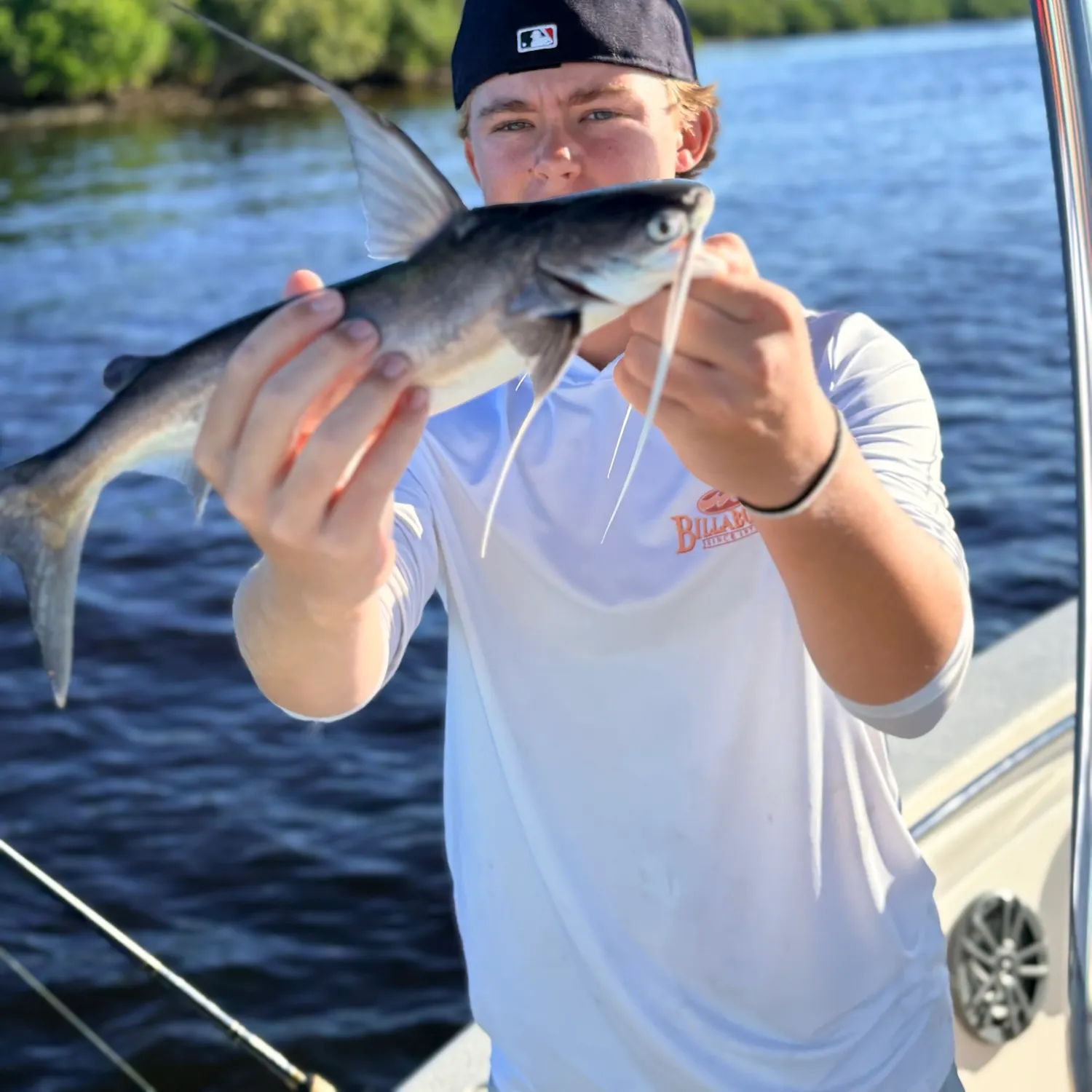 Gafftopsail sea catfish caught on Fishbrain