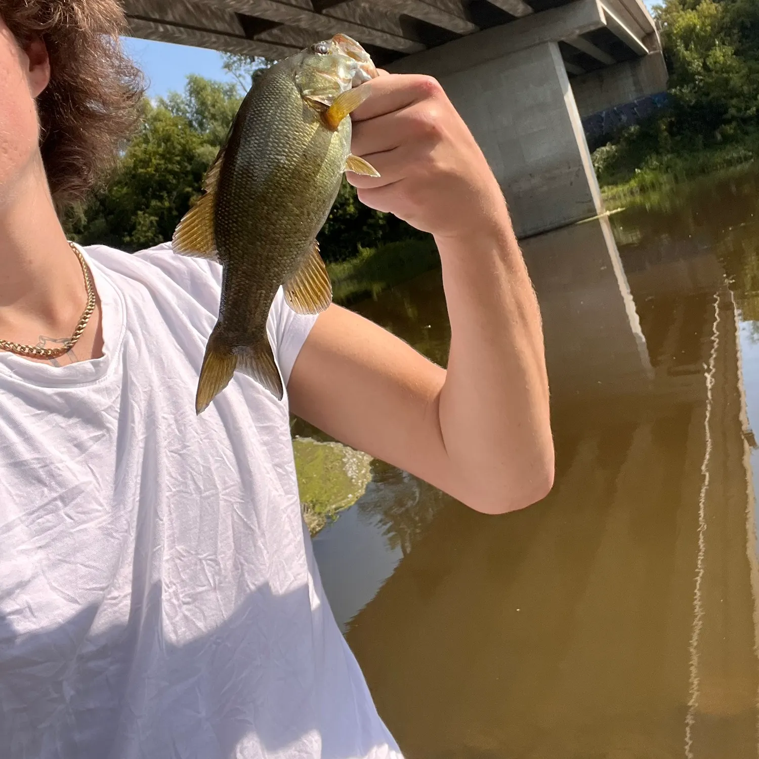 Smallmouth bass caught on Fishbrain