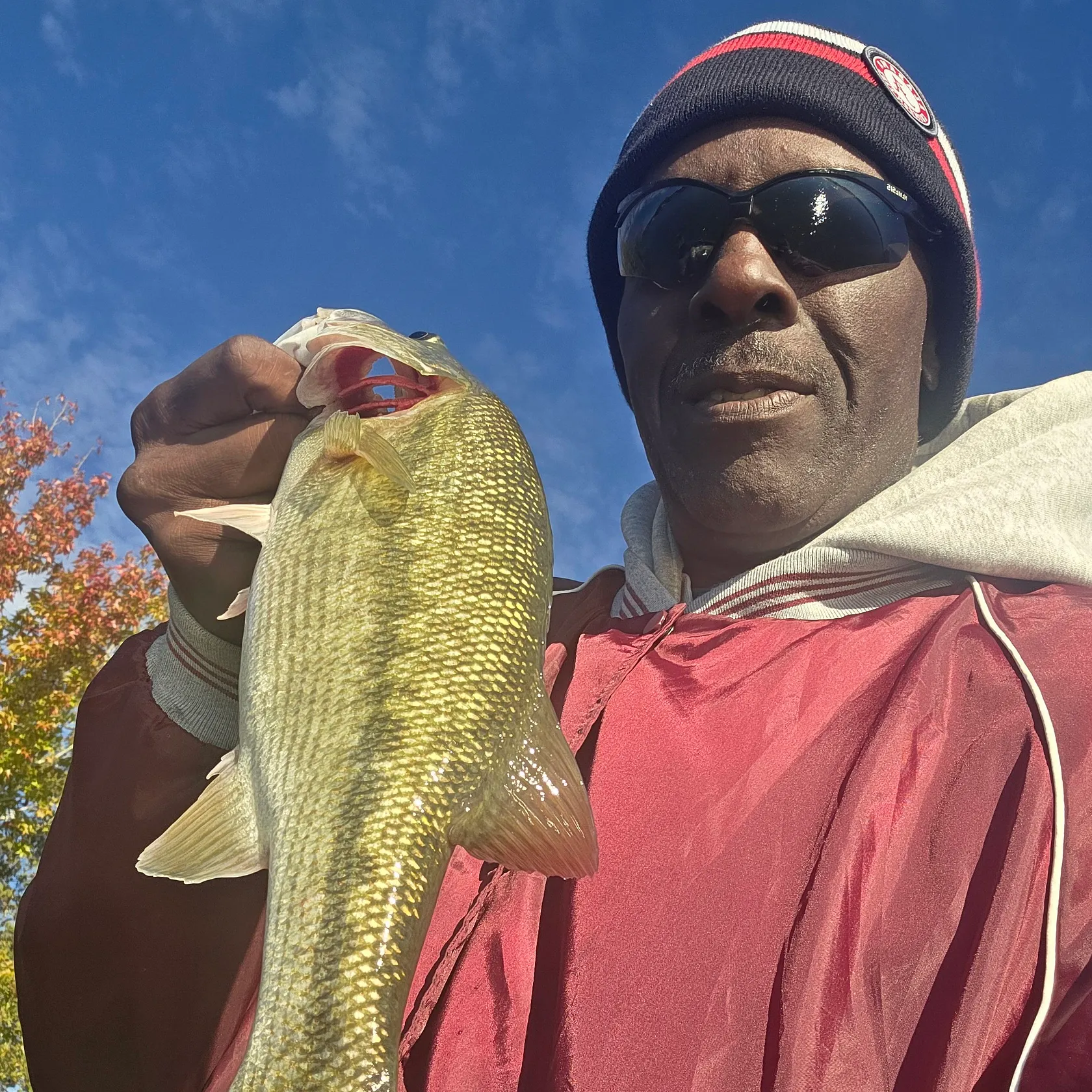 Spotted bass caught on Fishbrain
