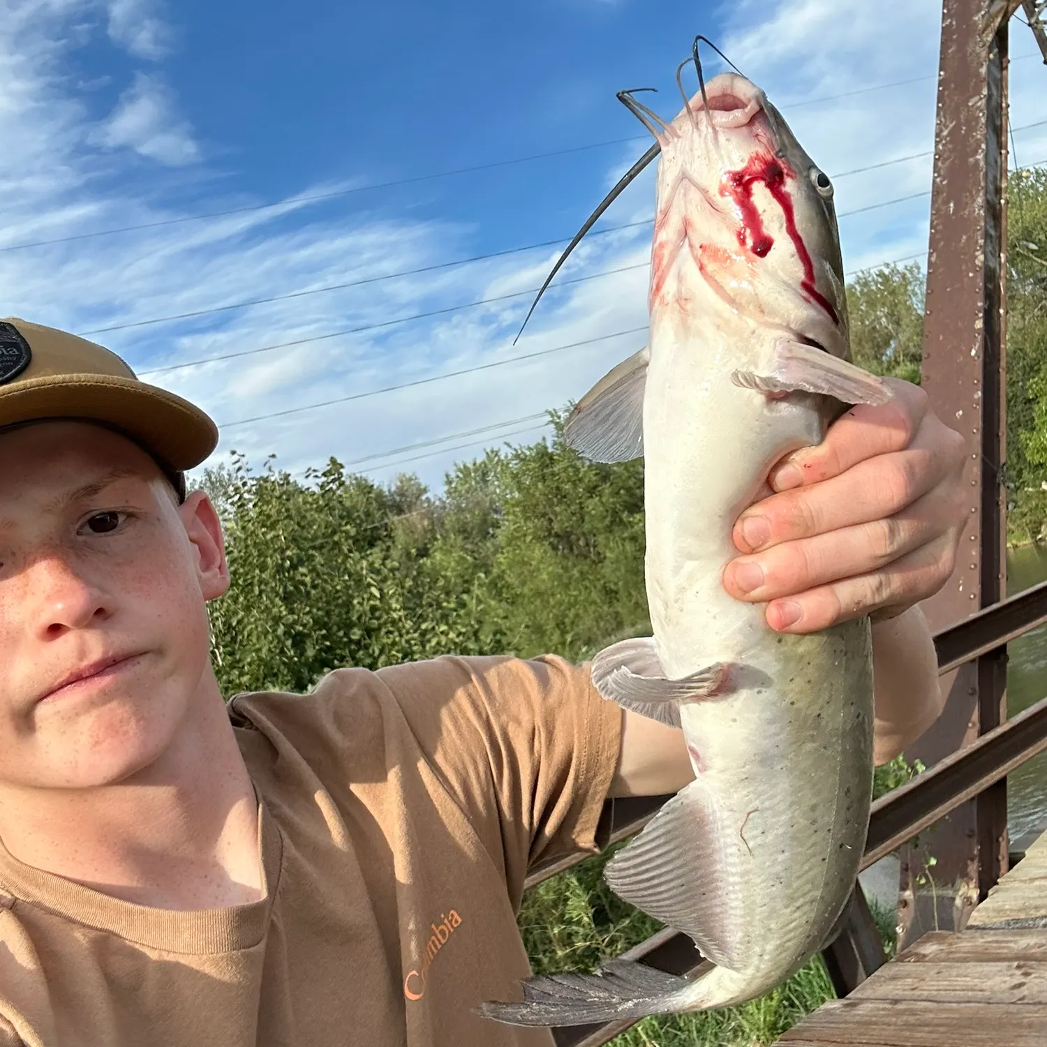Channel catfish caught on Fishbrain