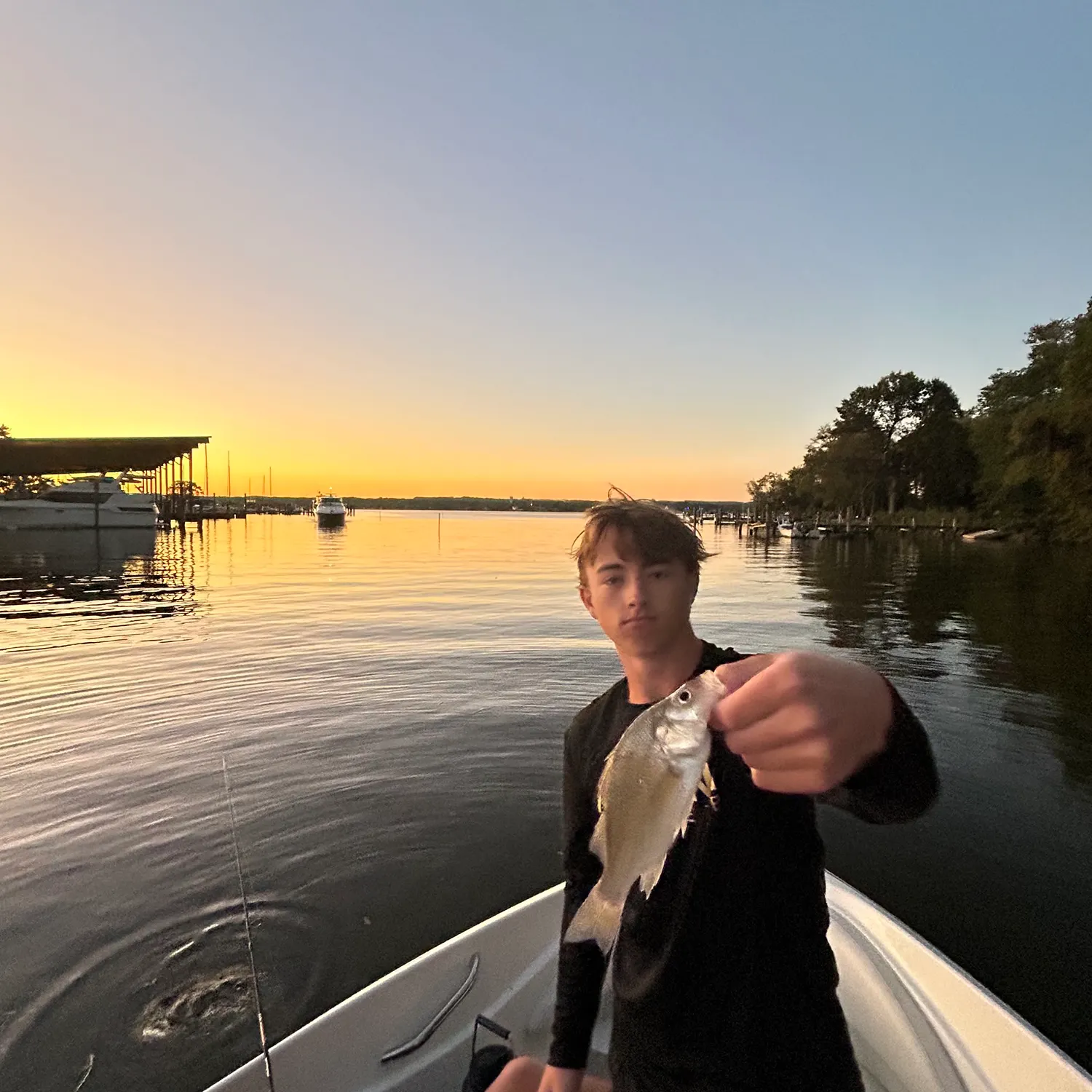 White bass caught on Fishbrain
