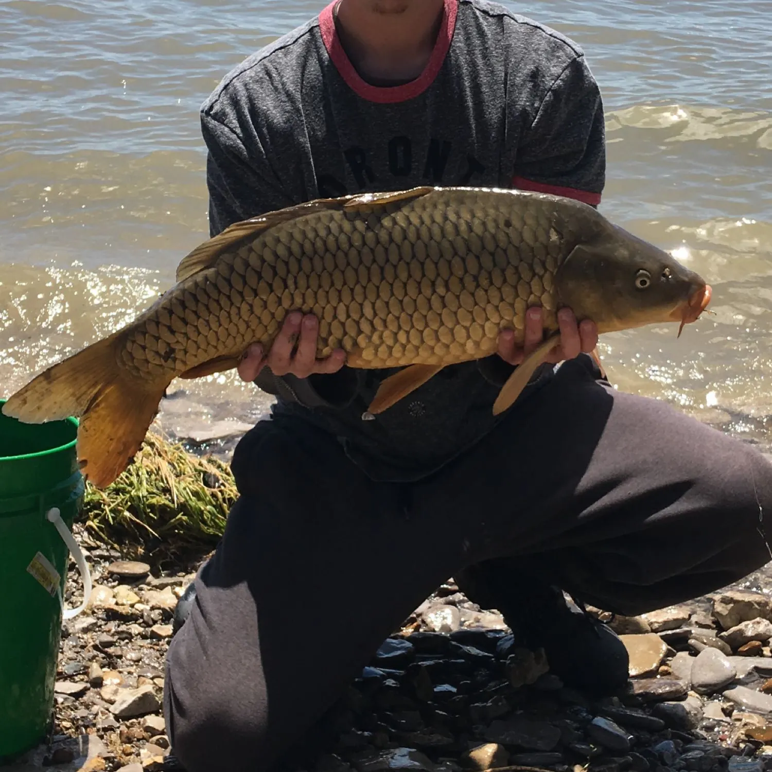 angler catch