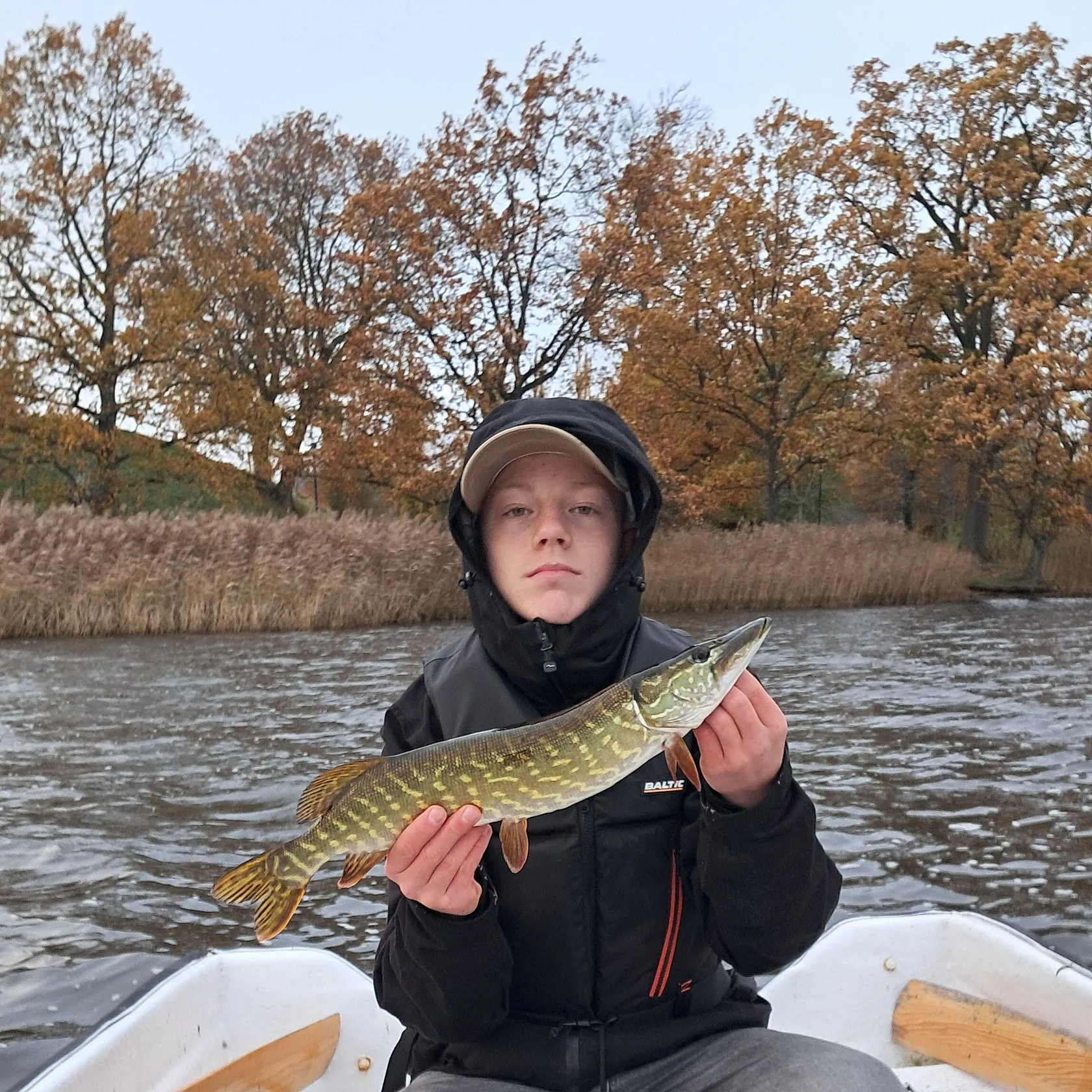 Northern pike caught on Fishbrain