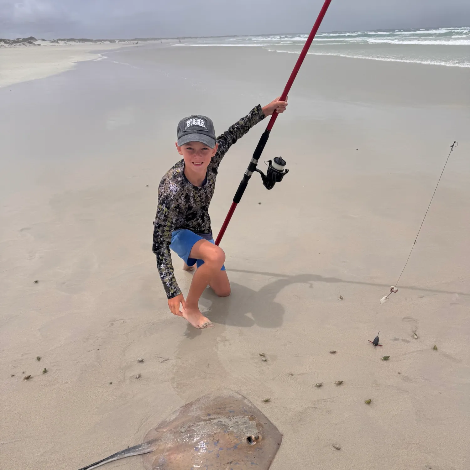 The most recent Bluespotted ribbontail ray catches on Fishbrain