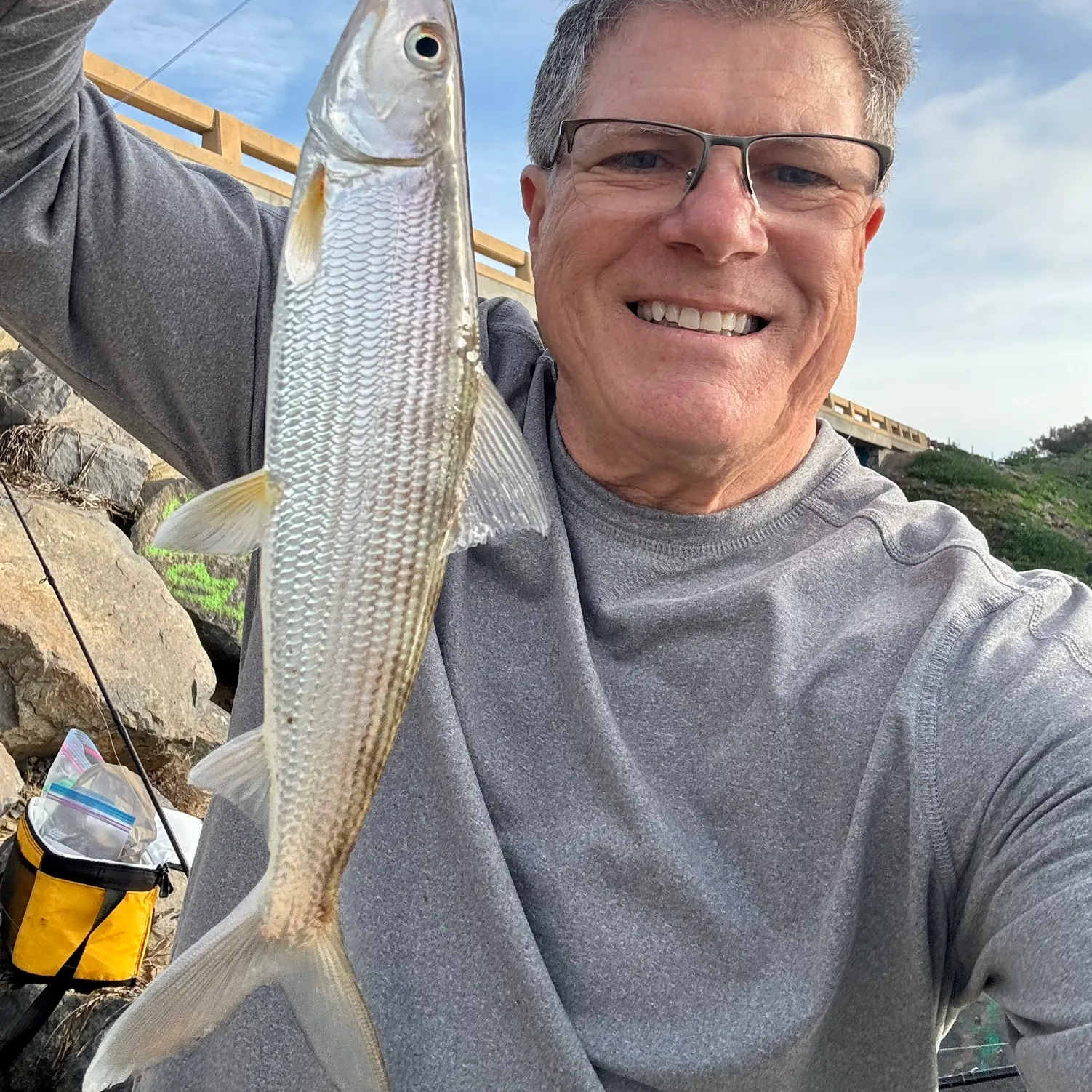 The most recent Cortez bonefish catches on Fishbrain