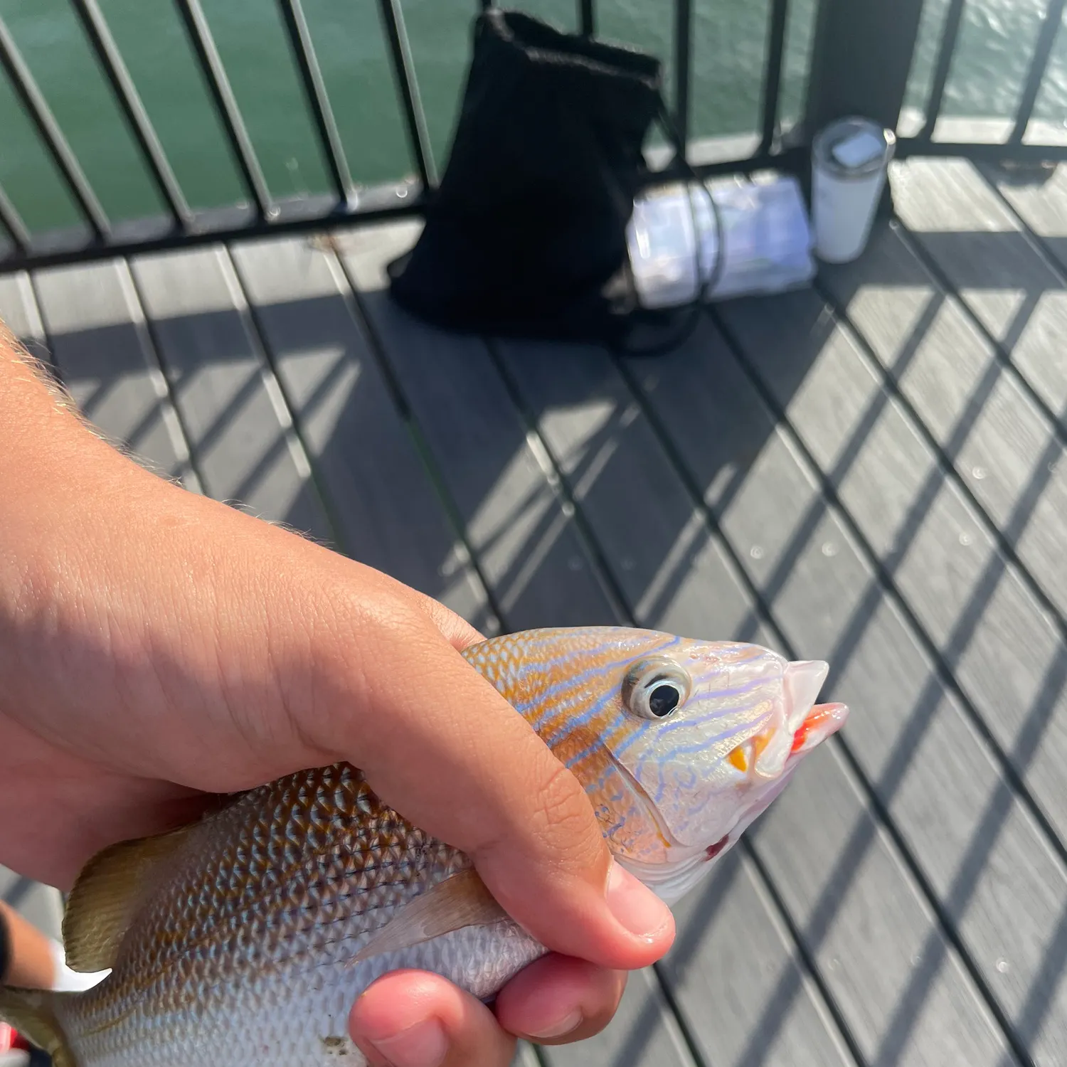 catch