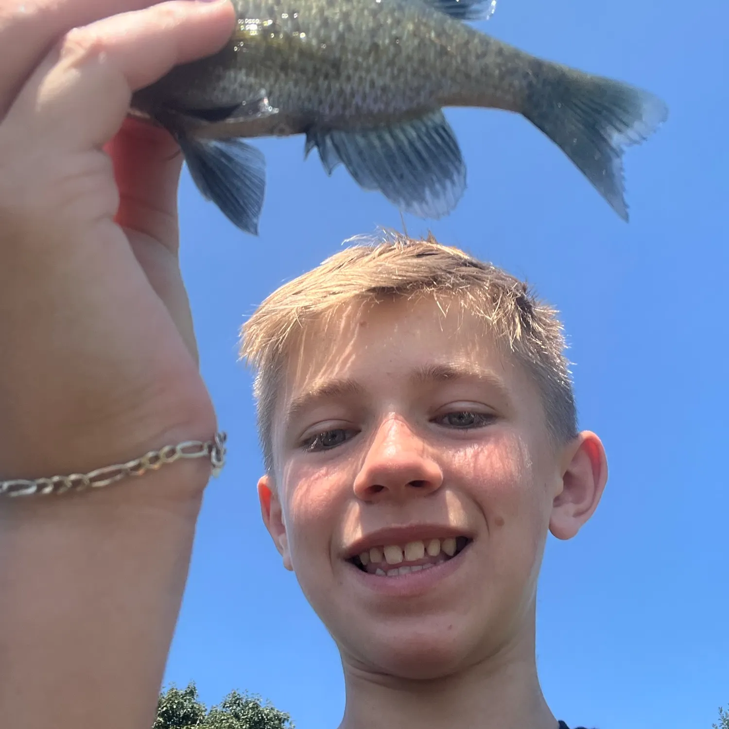 Bluegill caught on Fishbrain