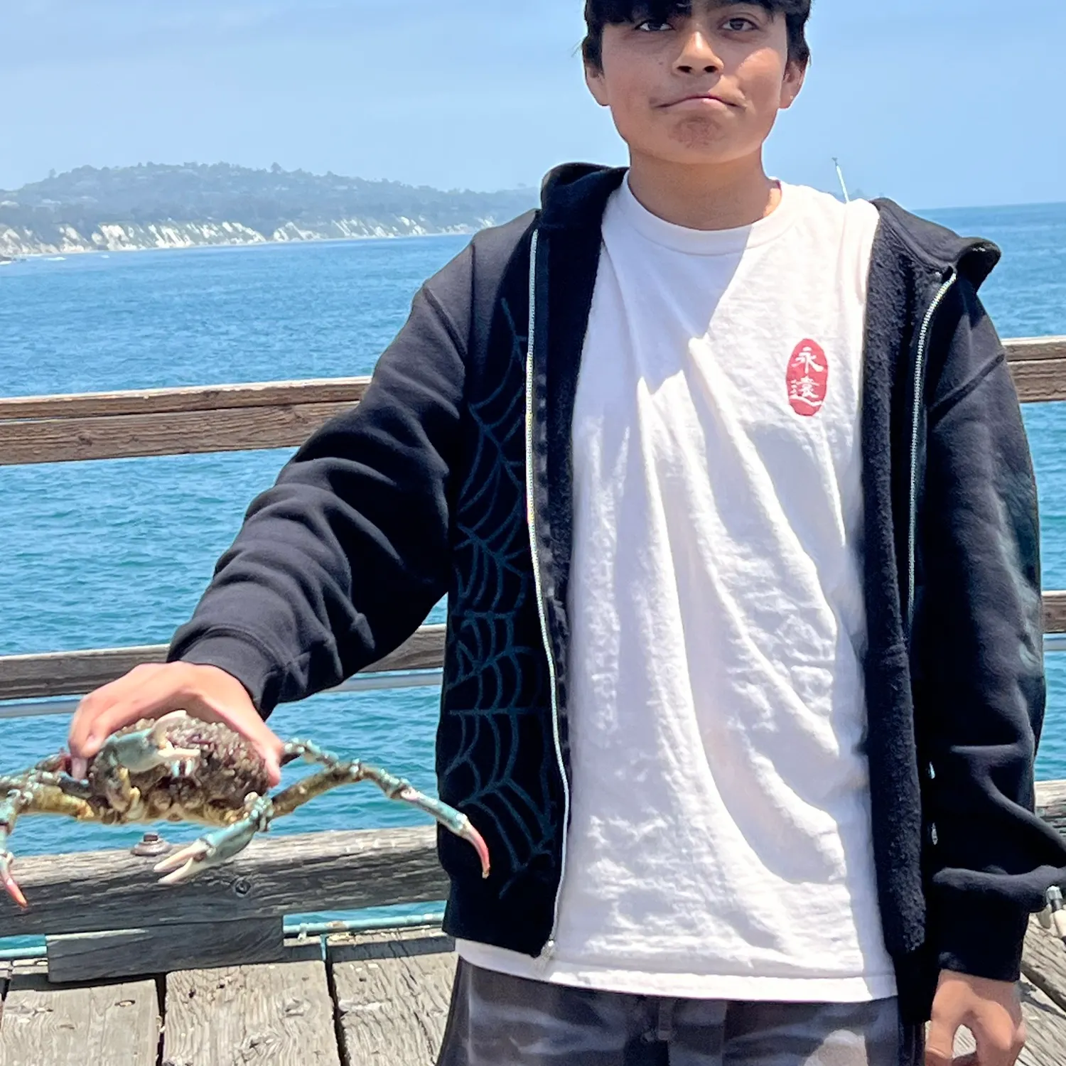 The most recent European spider crab catches on Fishbrain