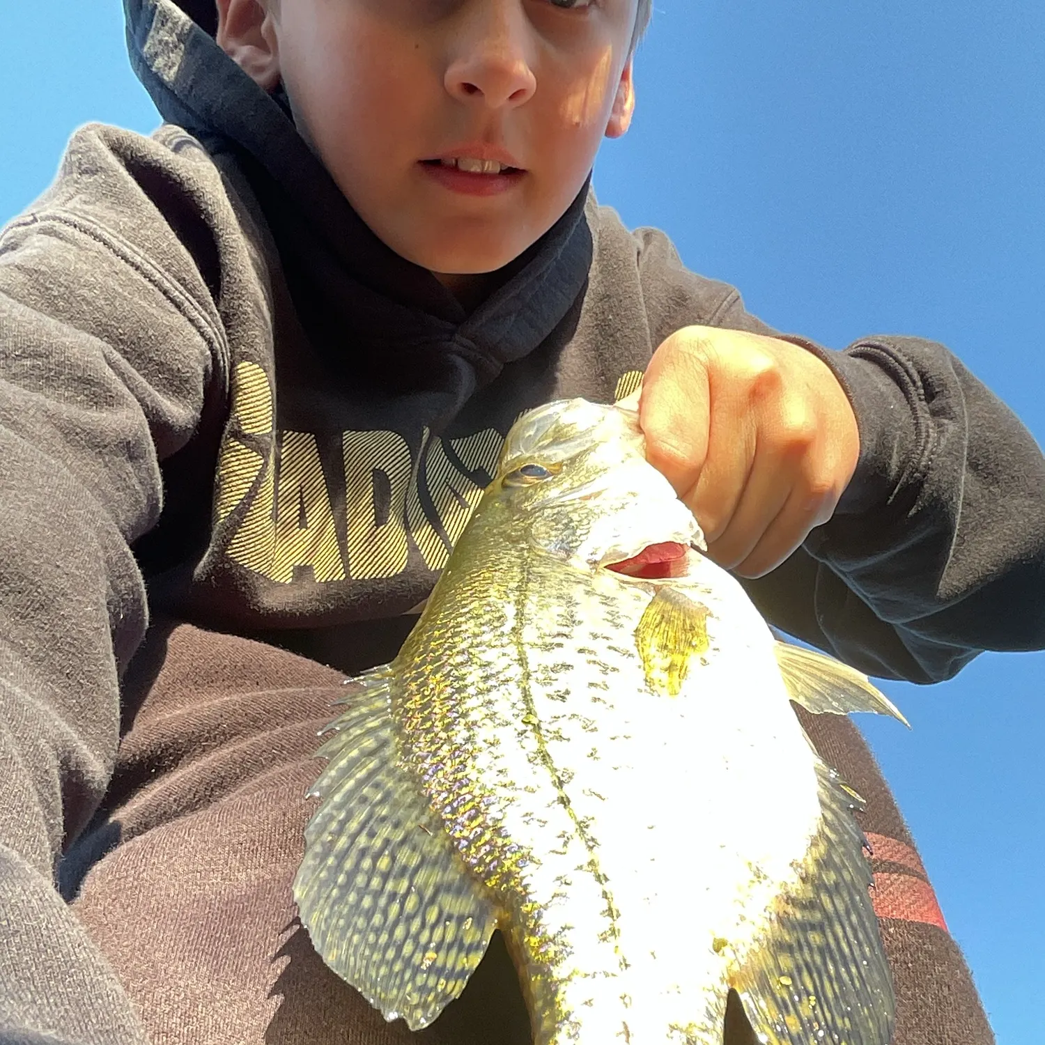 Bluegill caught on Fishbrain