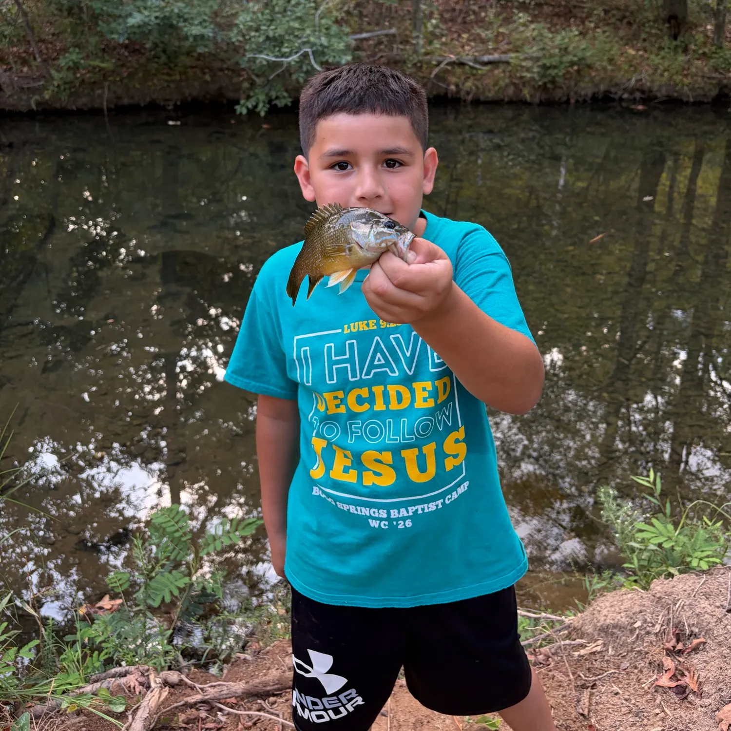 Green sunfish caught on Fishbrain