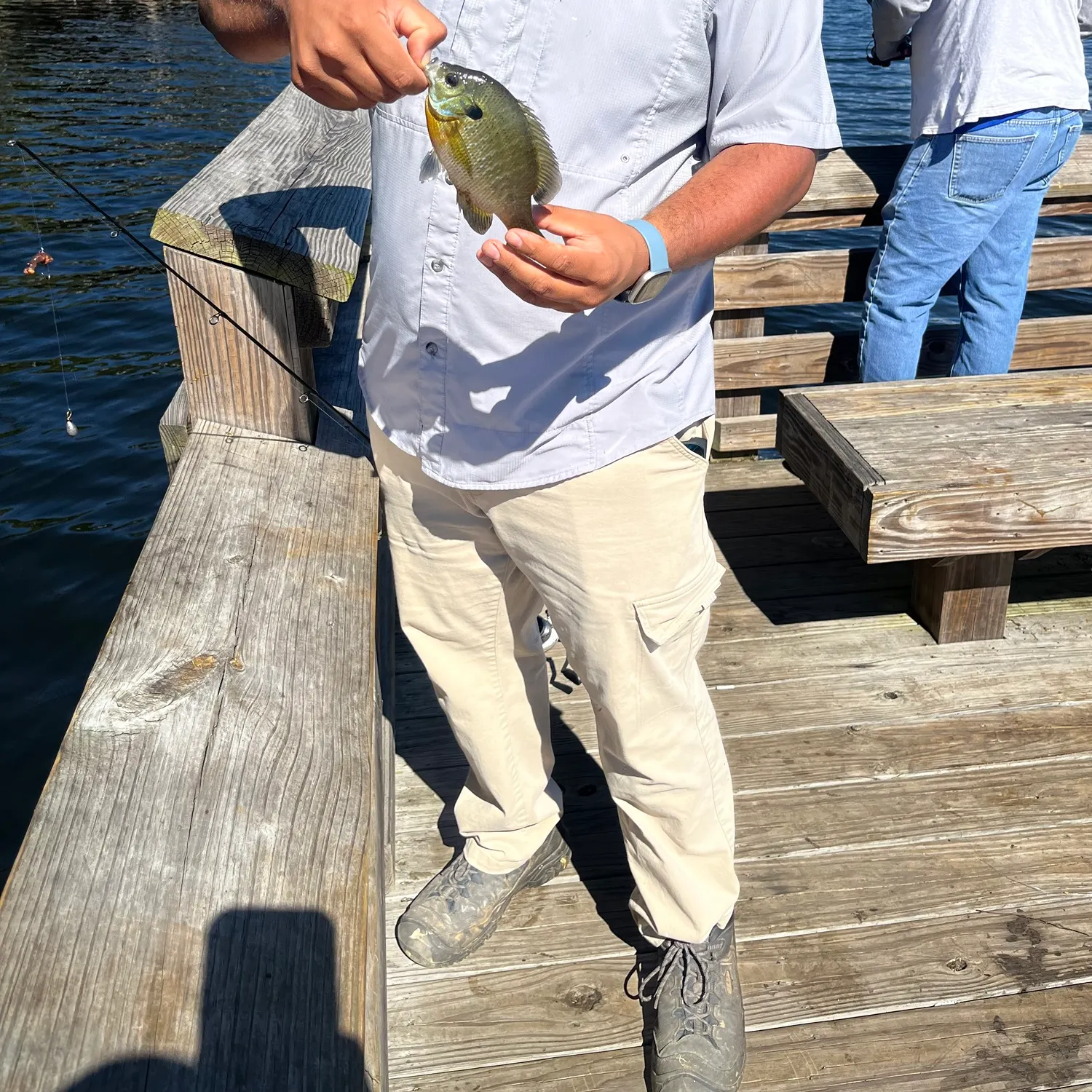 Bluegill caught on Fishbrain