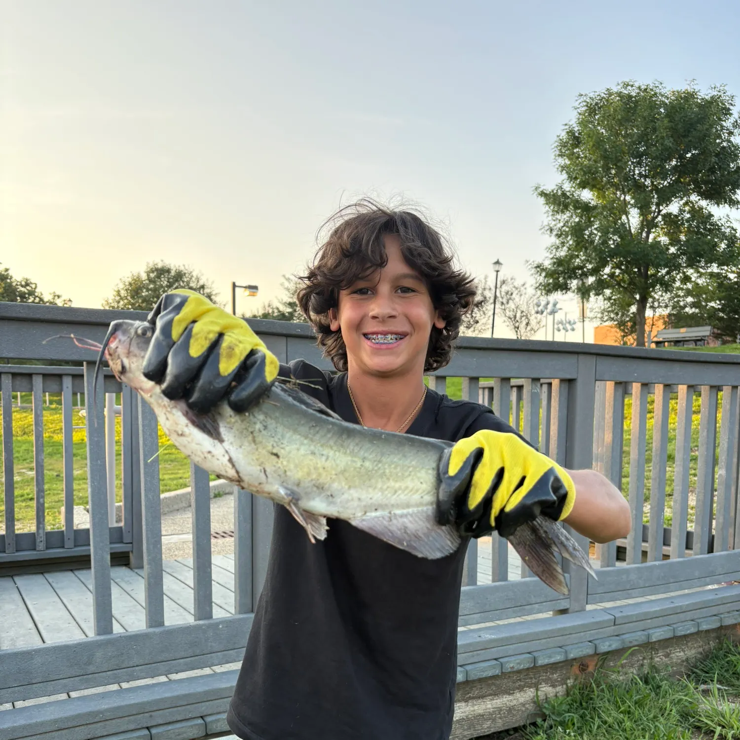 Channel catfish caught on Fishbrain