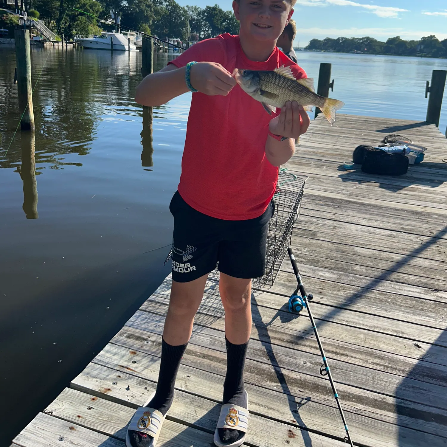 Smallmouth bass caught on Fishbrain