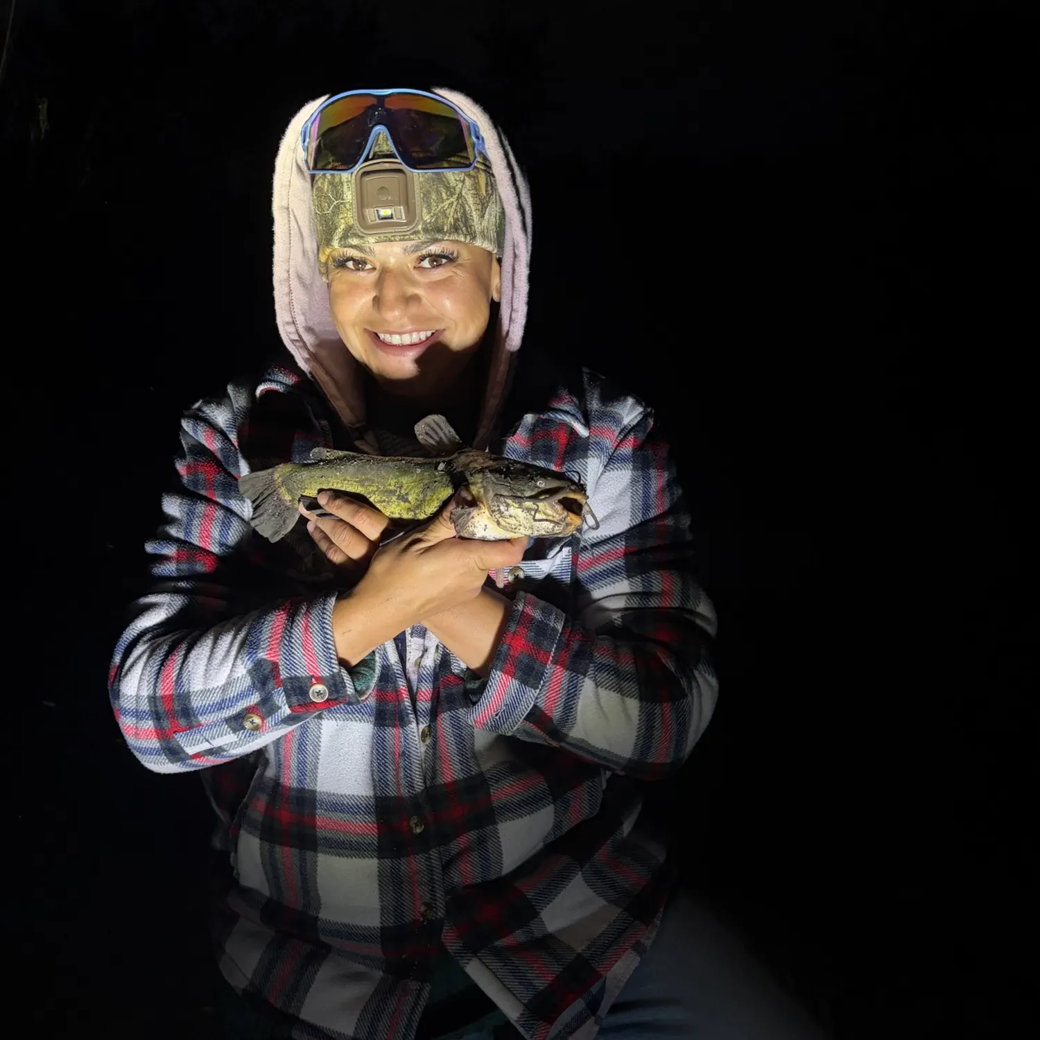 Yellow bullhead caught on Fishbrain