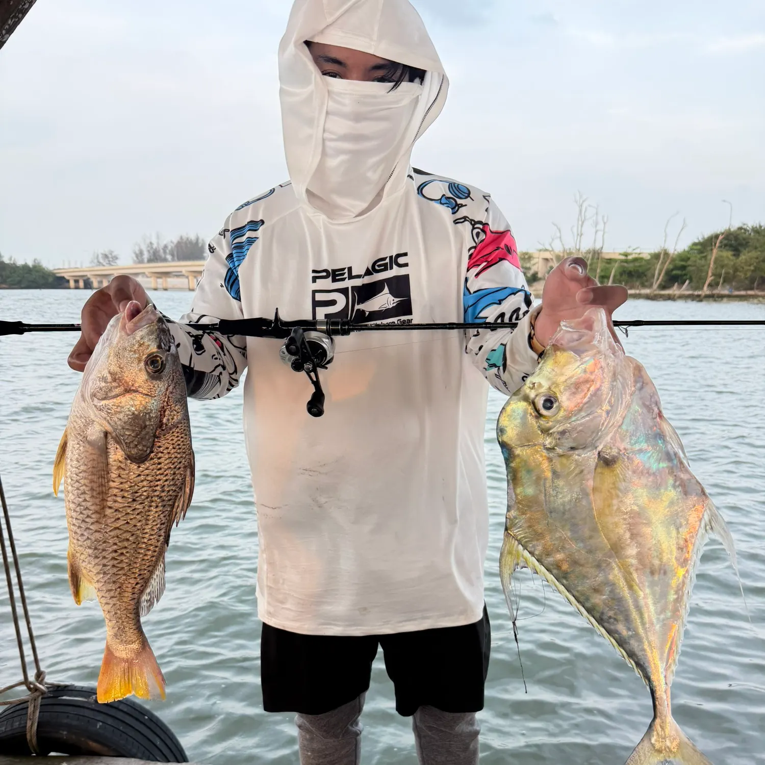 The most recent Indian threadfish catches on Fishbrain